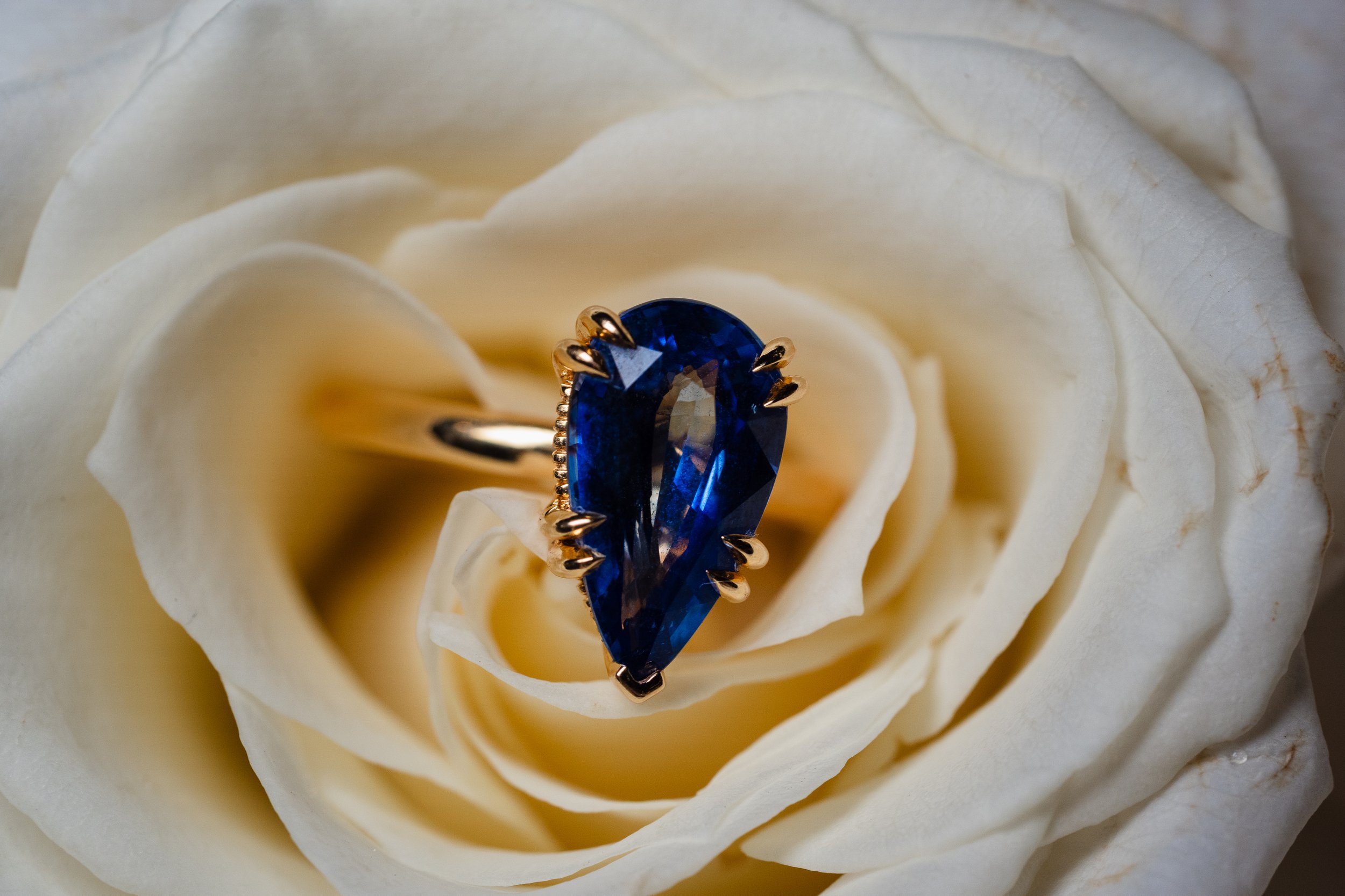 Sapphire wedding ring in white rose at The Reeds in Shelter Haven, Stone Harbor, New Jersey. 
