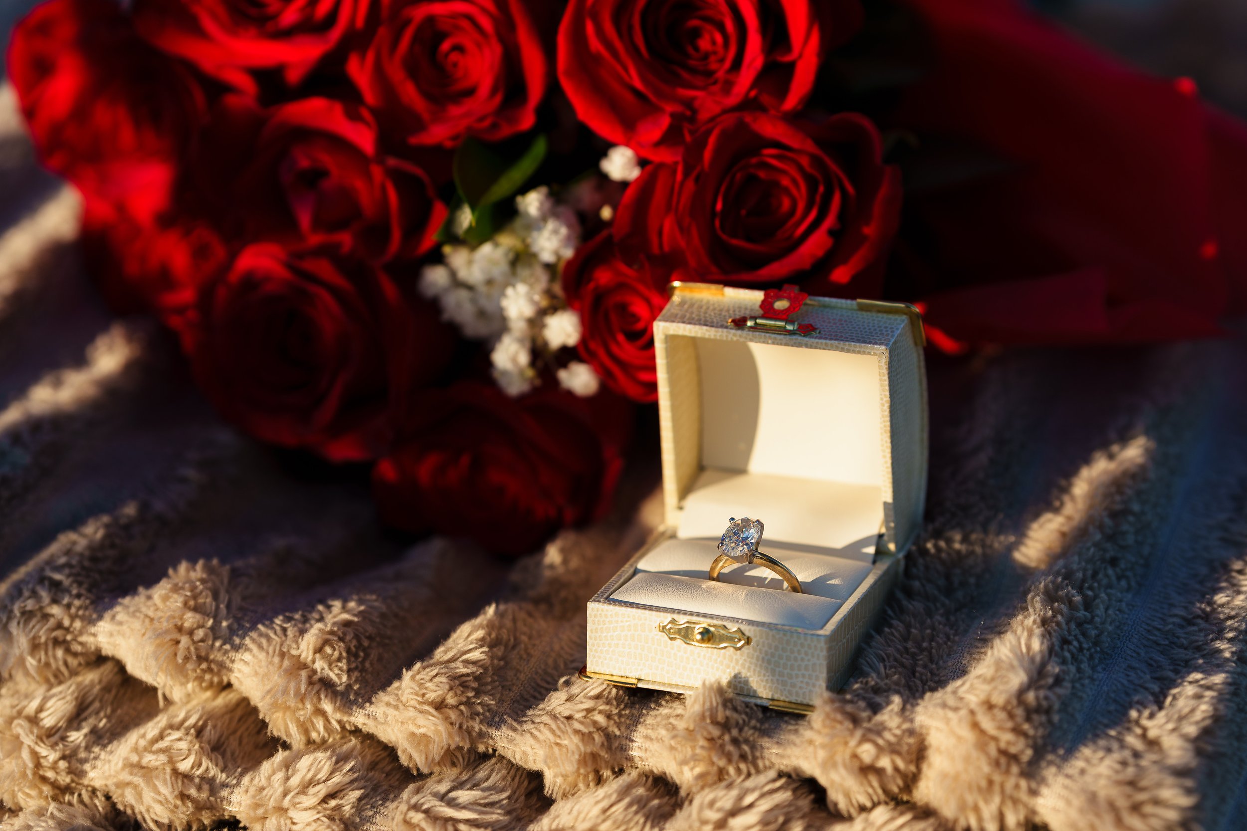 1129254-44-23.354 PM_Mark+LaurenProposal_0070.jpg