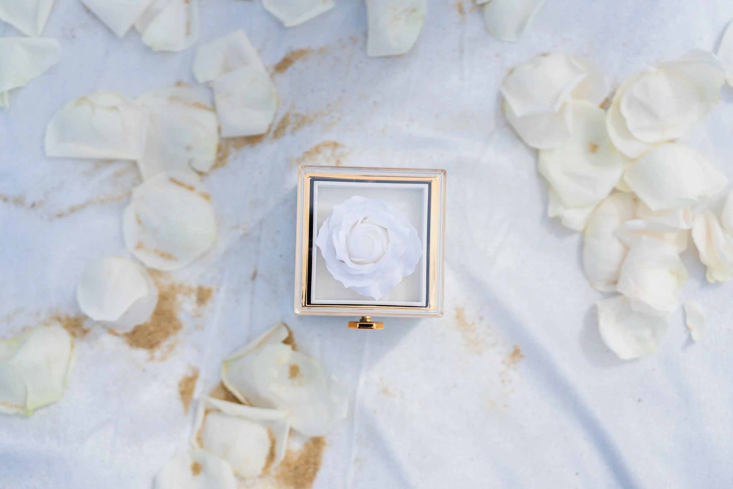A glass engagement ring box with a white rose inside, surrounded by scattered white rose petals on a white fabric surface during proposal in Long Branch, New Jersey.