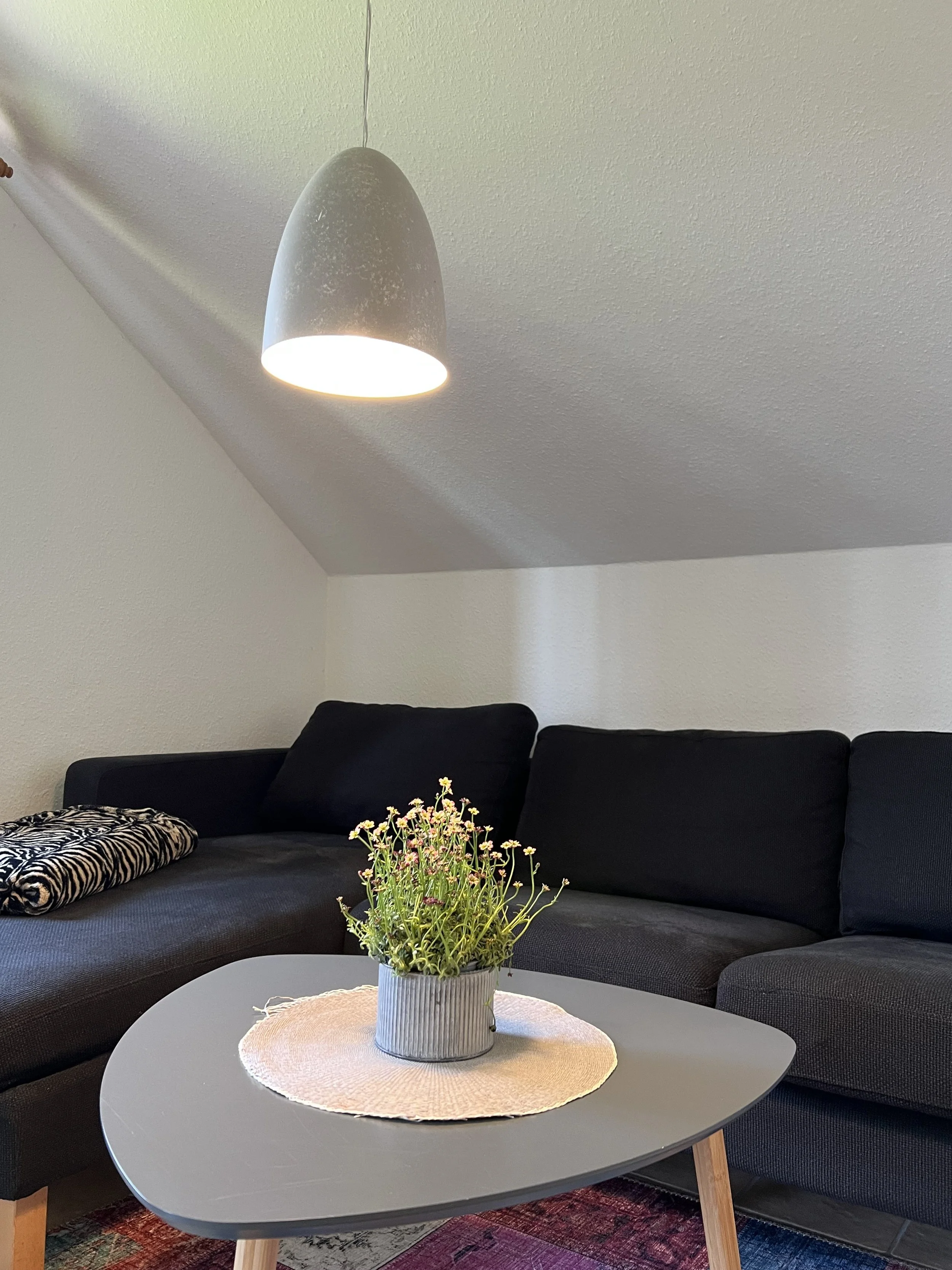 Sofa_Wohnzimmer_Wohnung
