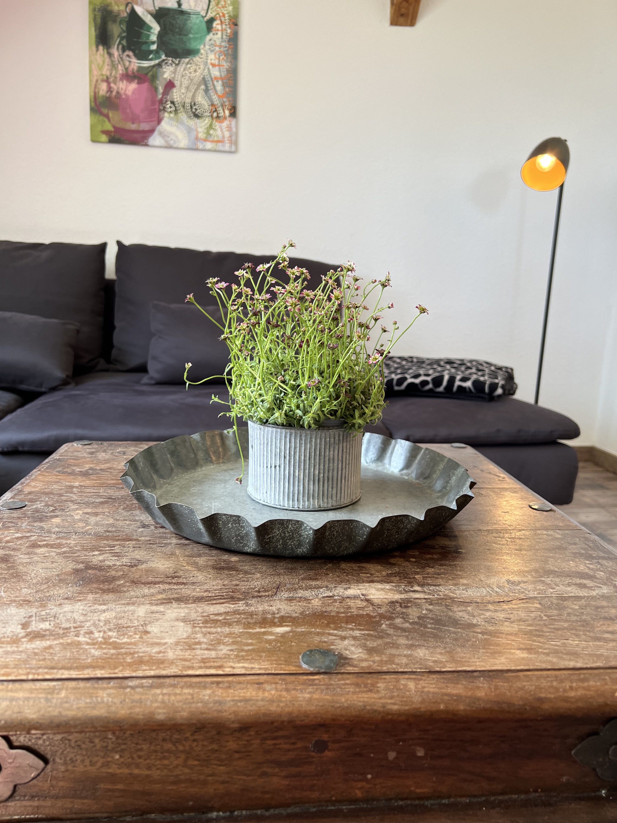 Pflanze in einer grau gestreiften Metallurne auf einem runden, metallenen Tablett, auf einem Holztisch in einem Wohnzimmer mit schwarzem Sofa und Wandkunst im Hintergrund, inklusive Stehlampe.