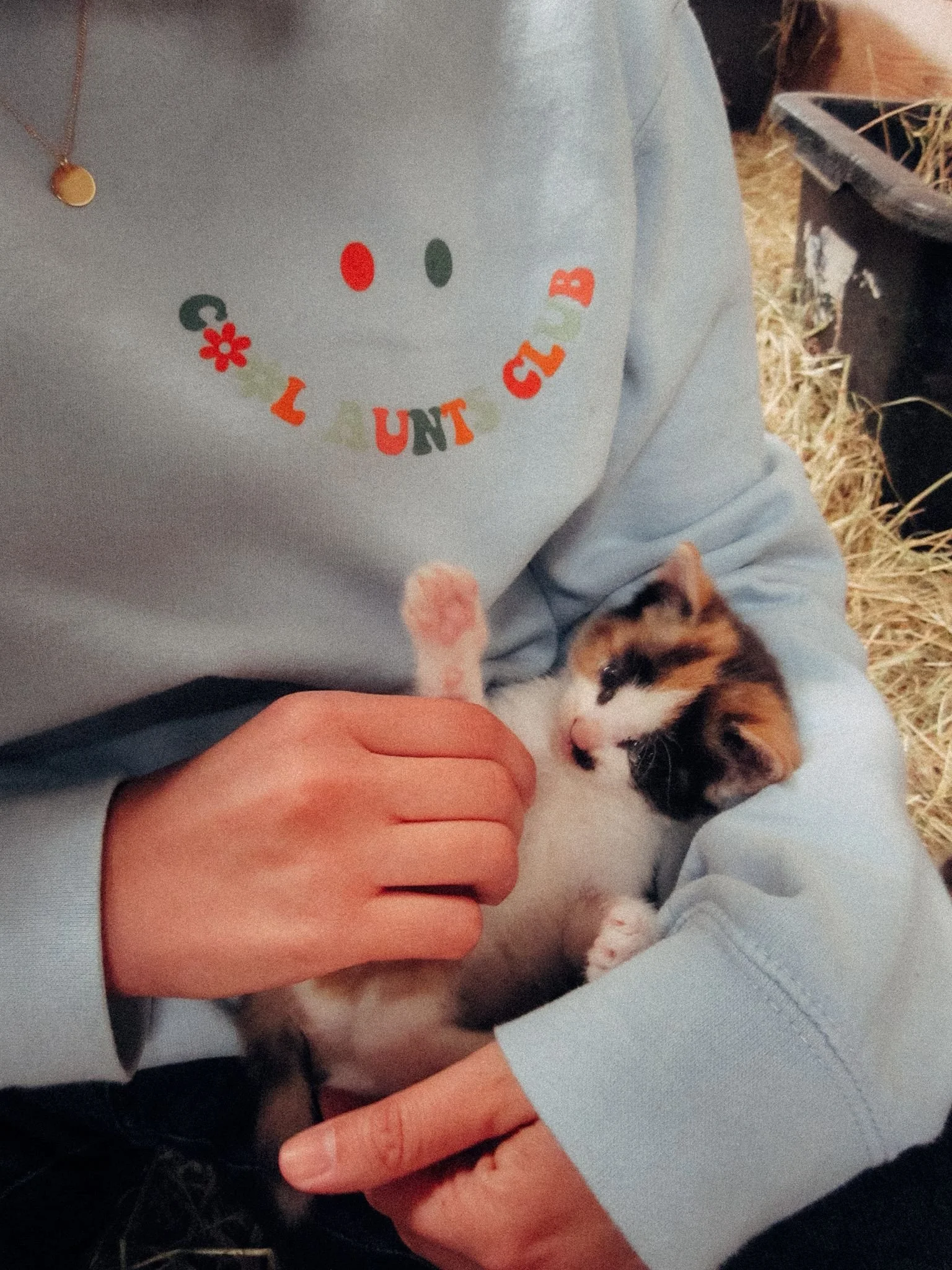 Ferienhof_Babykatze_Kinder