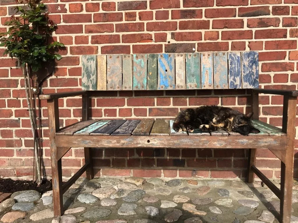 Eine zerlegte Holzbank mit bunten, verwitterten Holzbrettern steht an einer roten Backsteinwand. Auf der Bank liegt ein schlafender schwarzer Kater.