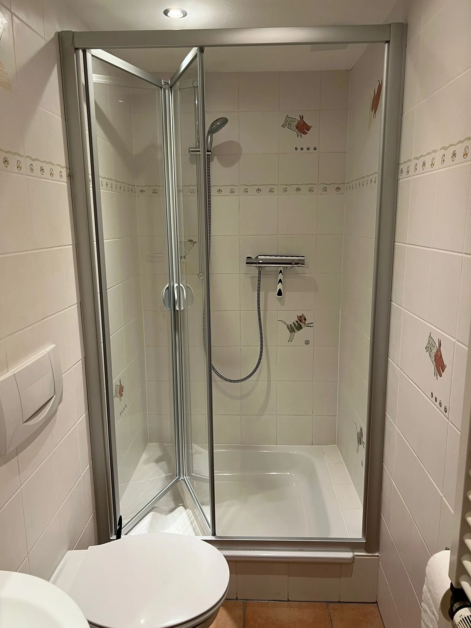 Badezimmer mit Dusche