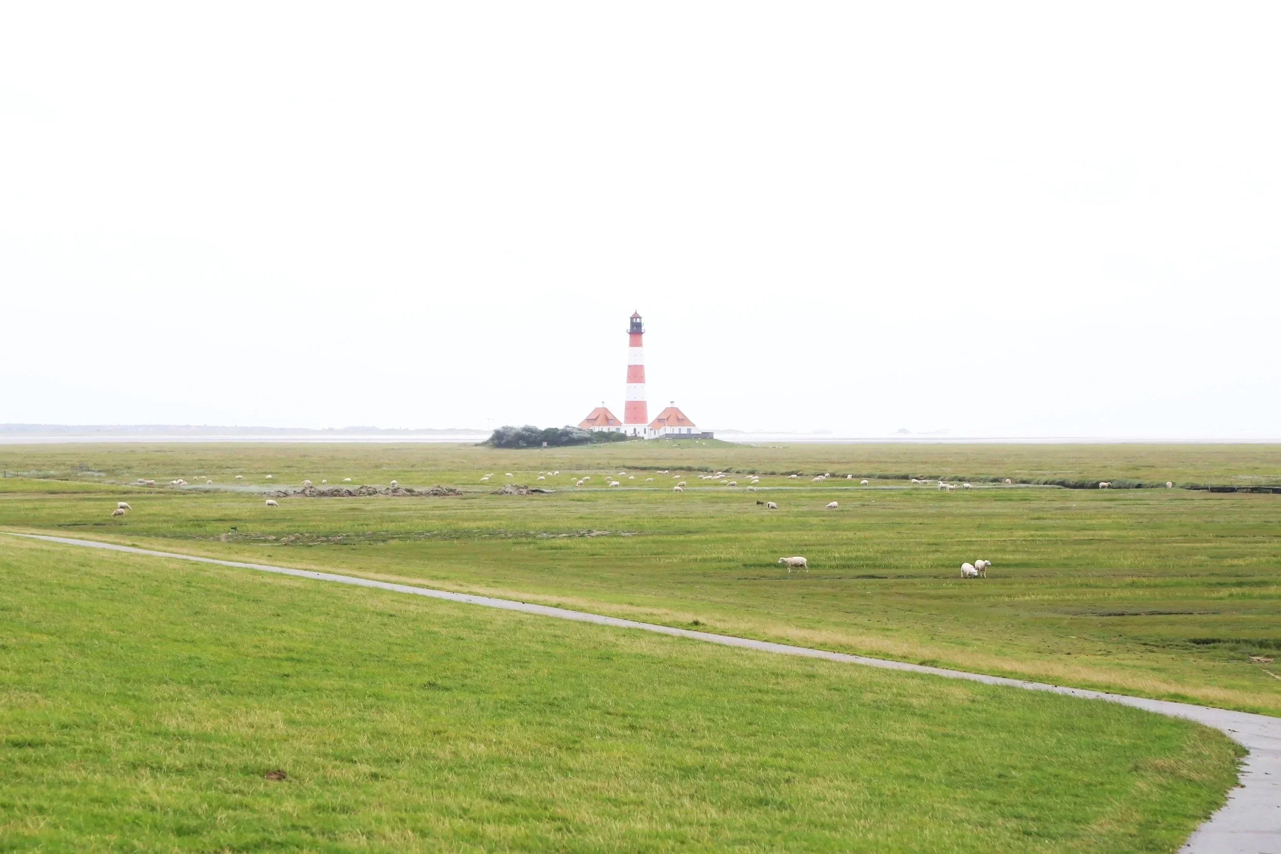 Blick auf eine grüne Wiese mit einem Weg, im Hintergrund ein Leuchtturm unter einem blauen Himmel mit wenigen Wolken.