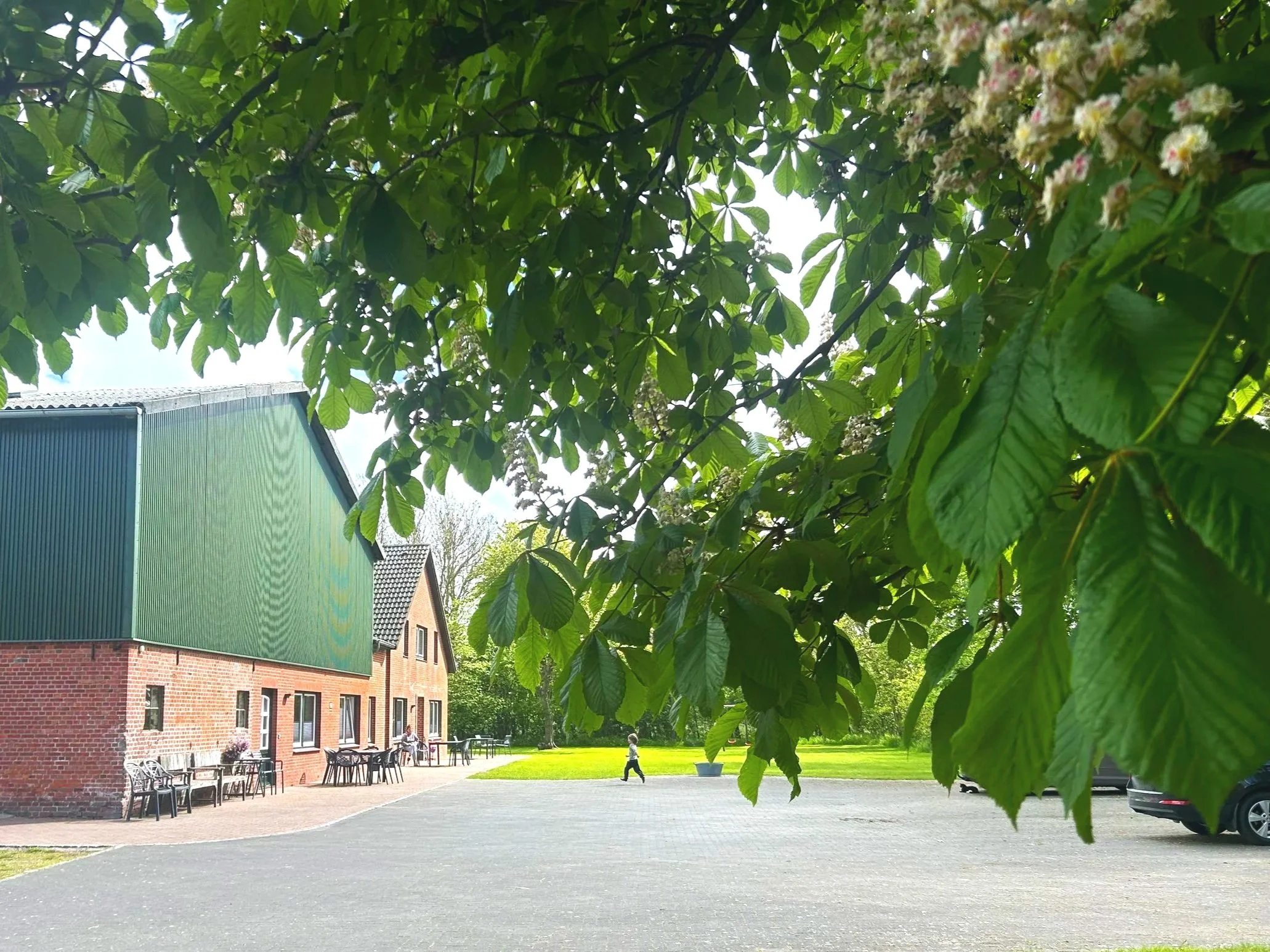 Kinder, die auf einem Rasen im Park Fußball spielen, mit drei Erwachsenen im Hintergrund vor einem Baum und einem Fußballtor.