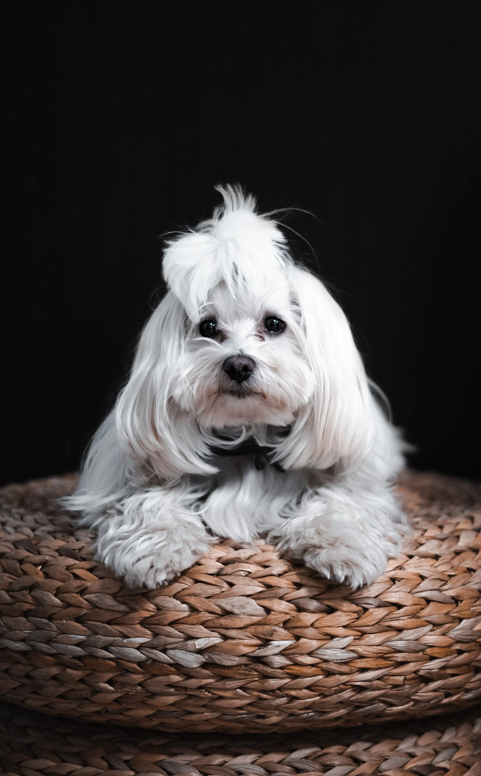 Bent_1 másolata.JPEG