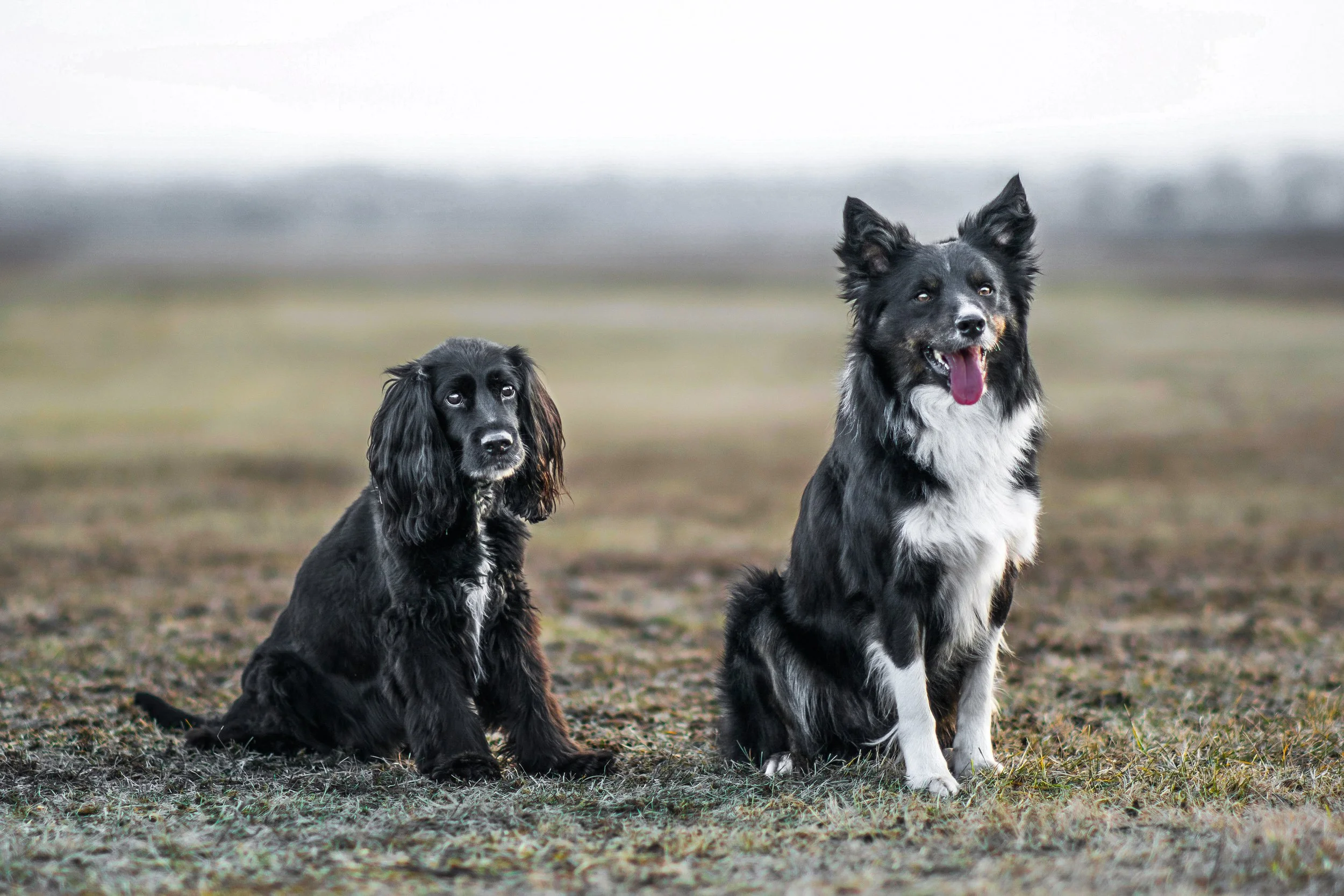 Ketten_2 másolata.jpg