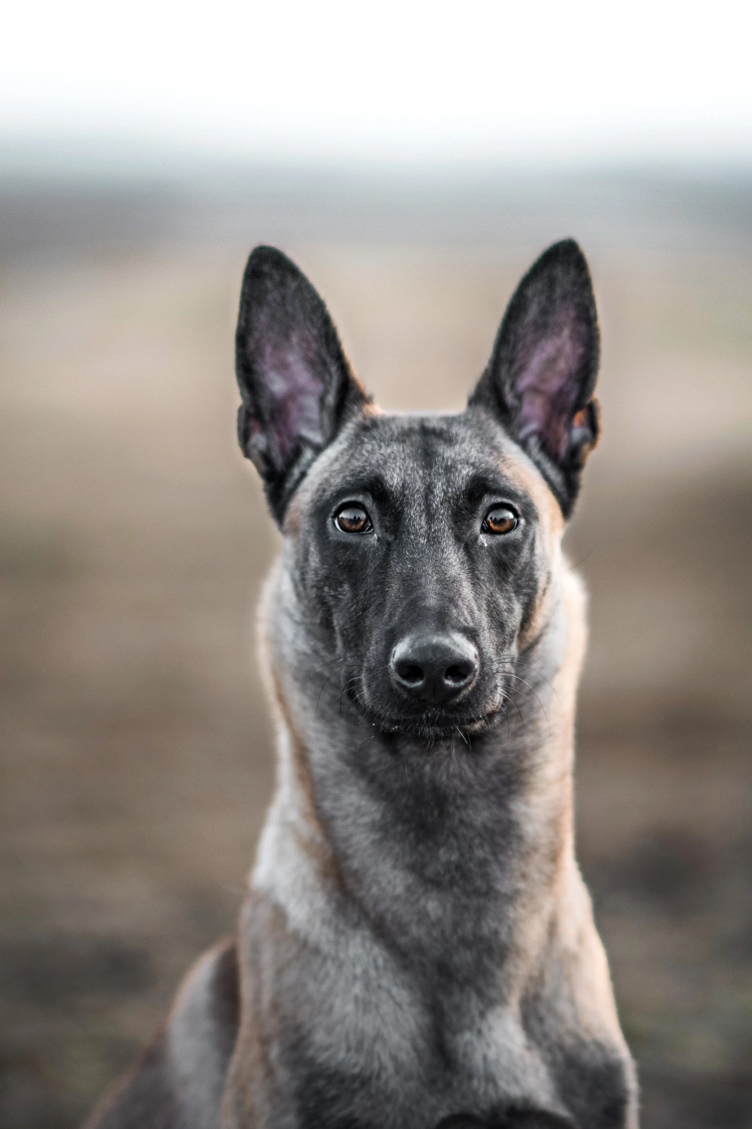 Karma_1 másolata.jpg