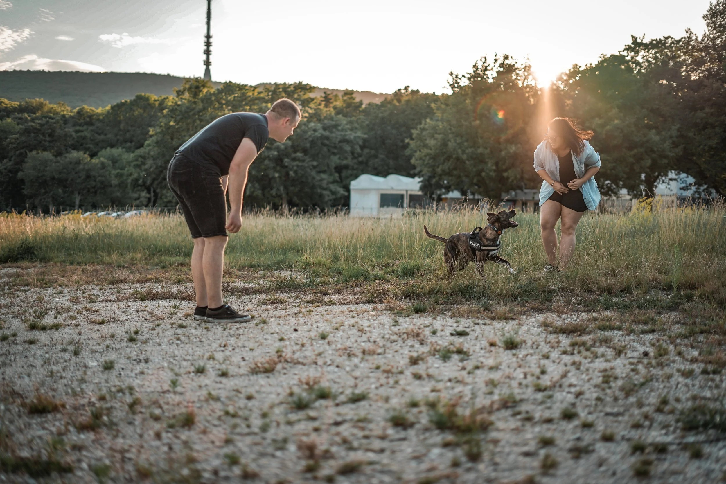 IMG_0774 másolata.JPG