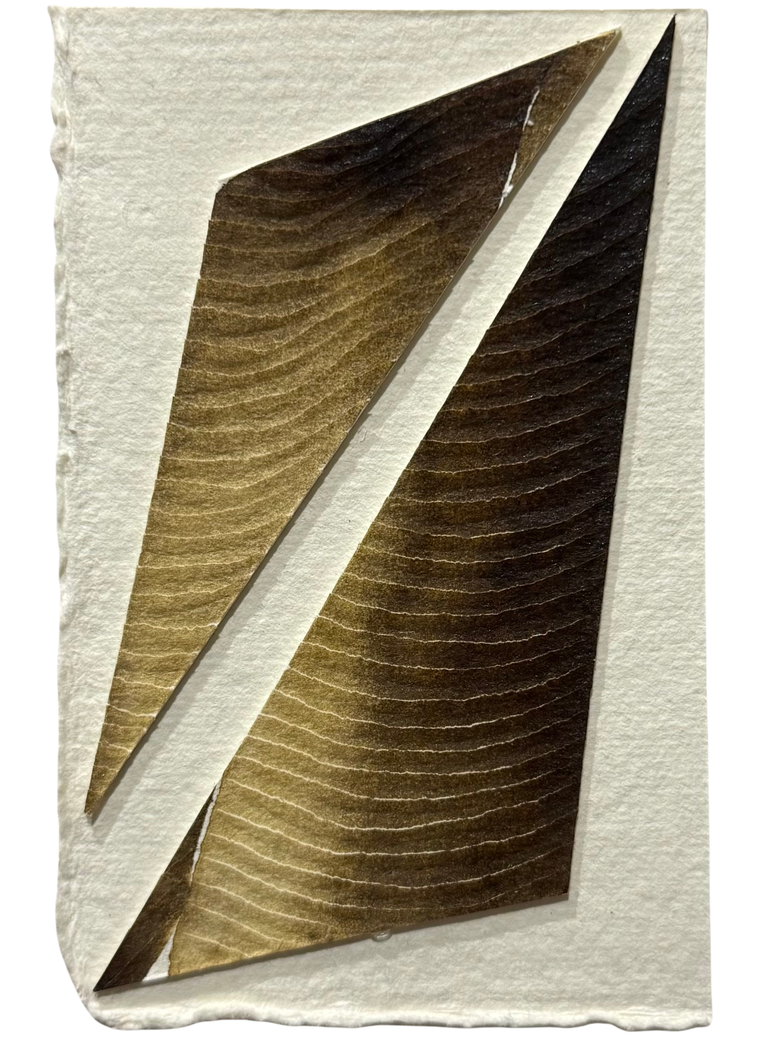inspired by woodlands, small brown and white paper carving collage with geometric composition