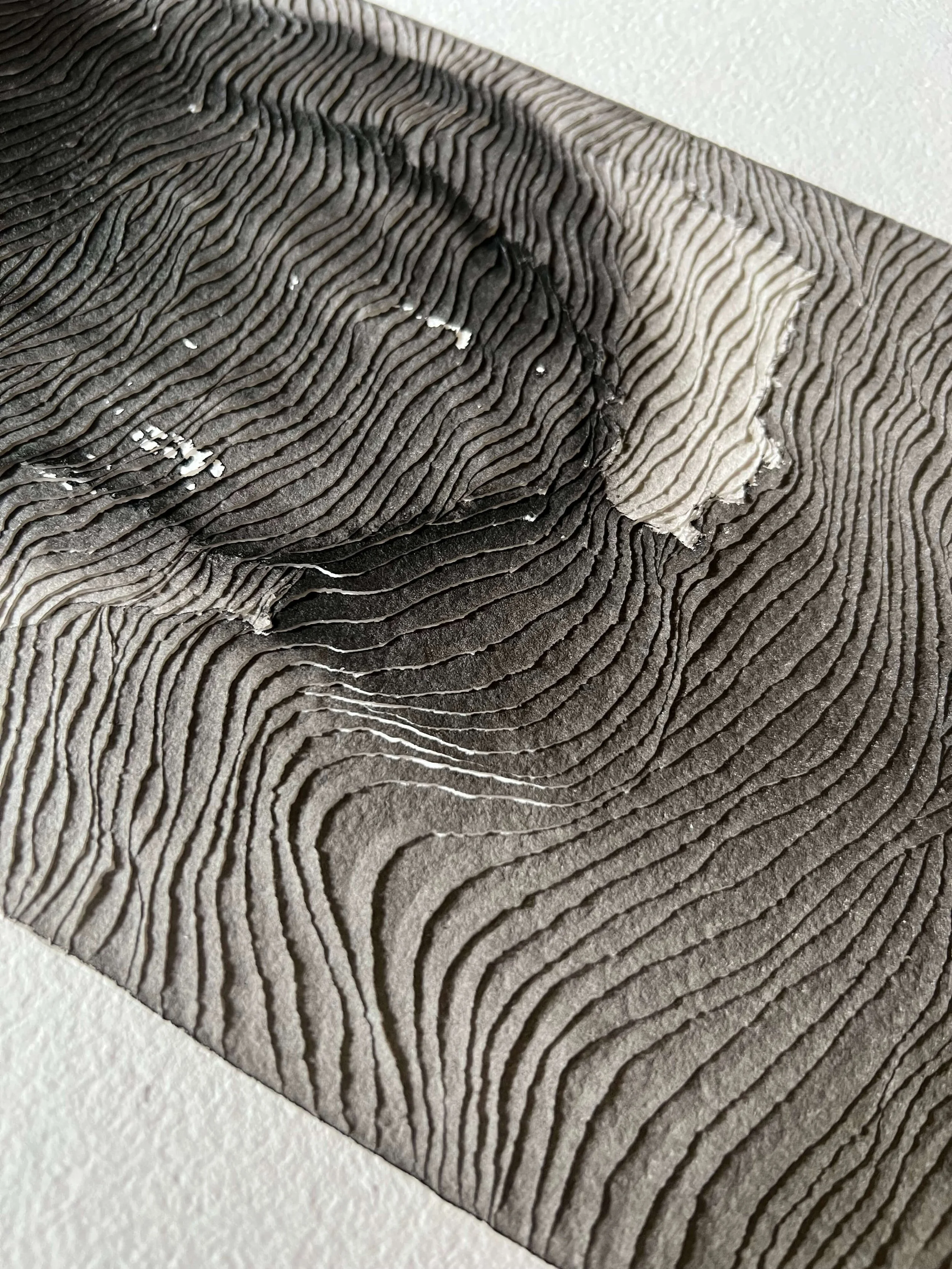 black and white textured artwork on paper with flowing design