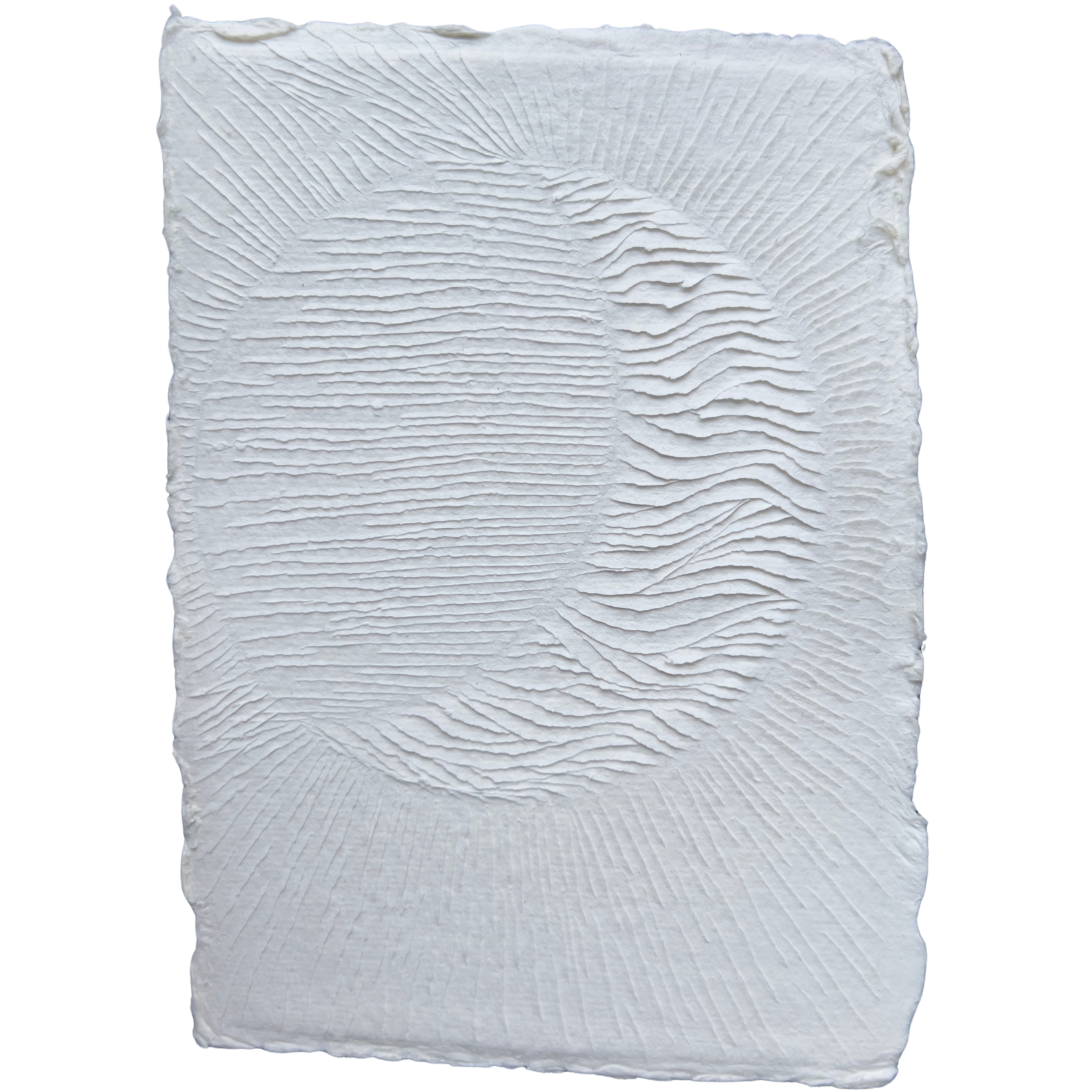 Your Energy Shies Through, 2023