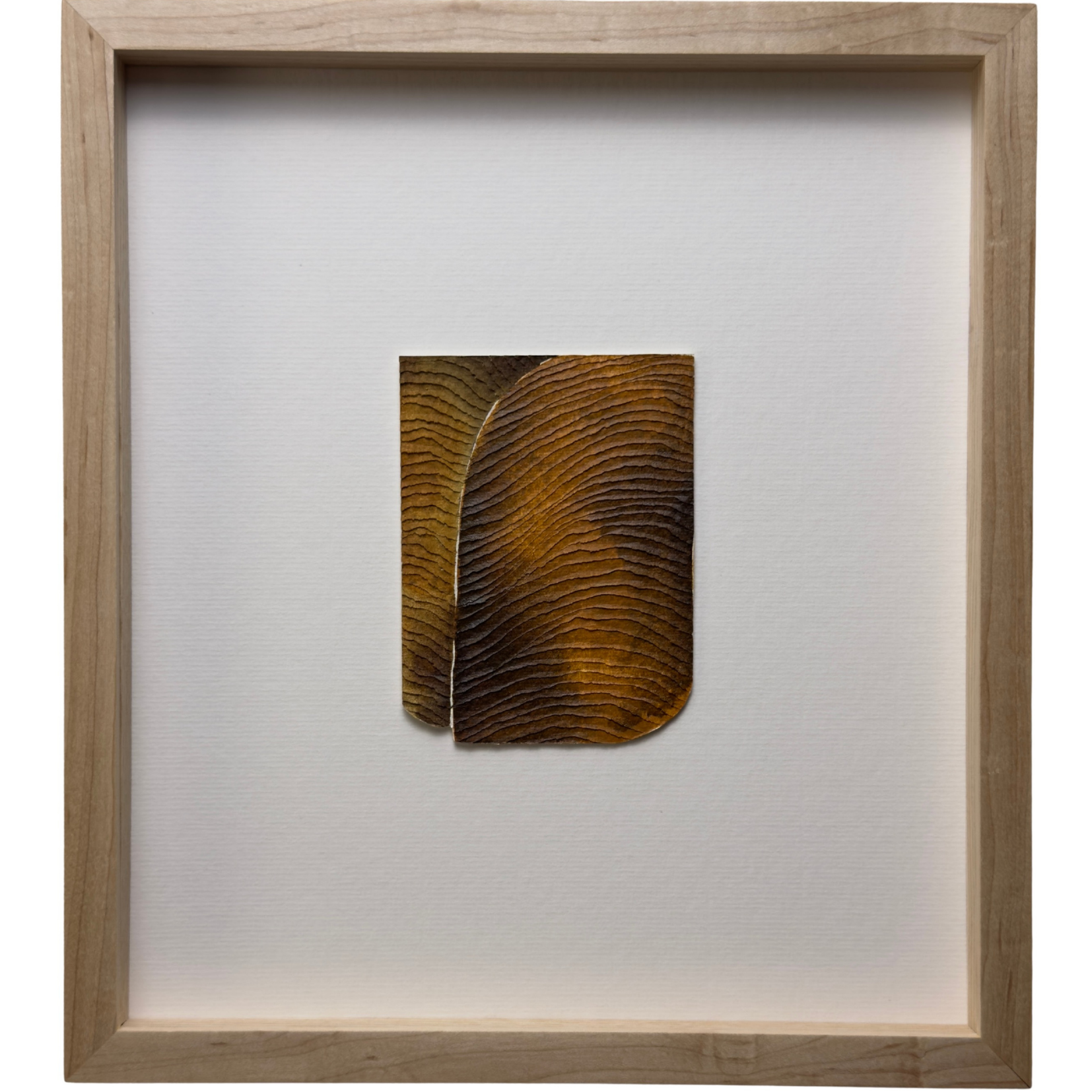 Space For Me To Grow, 2023-25