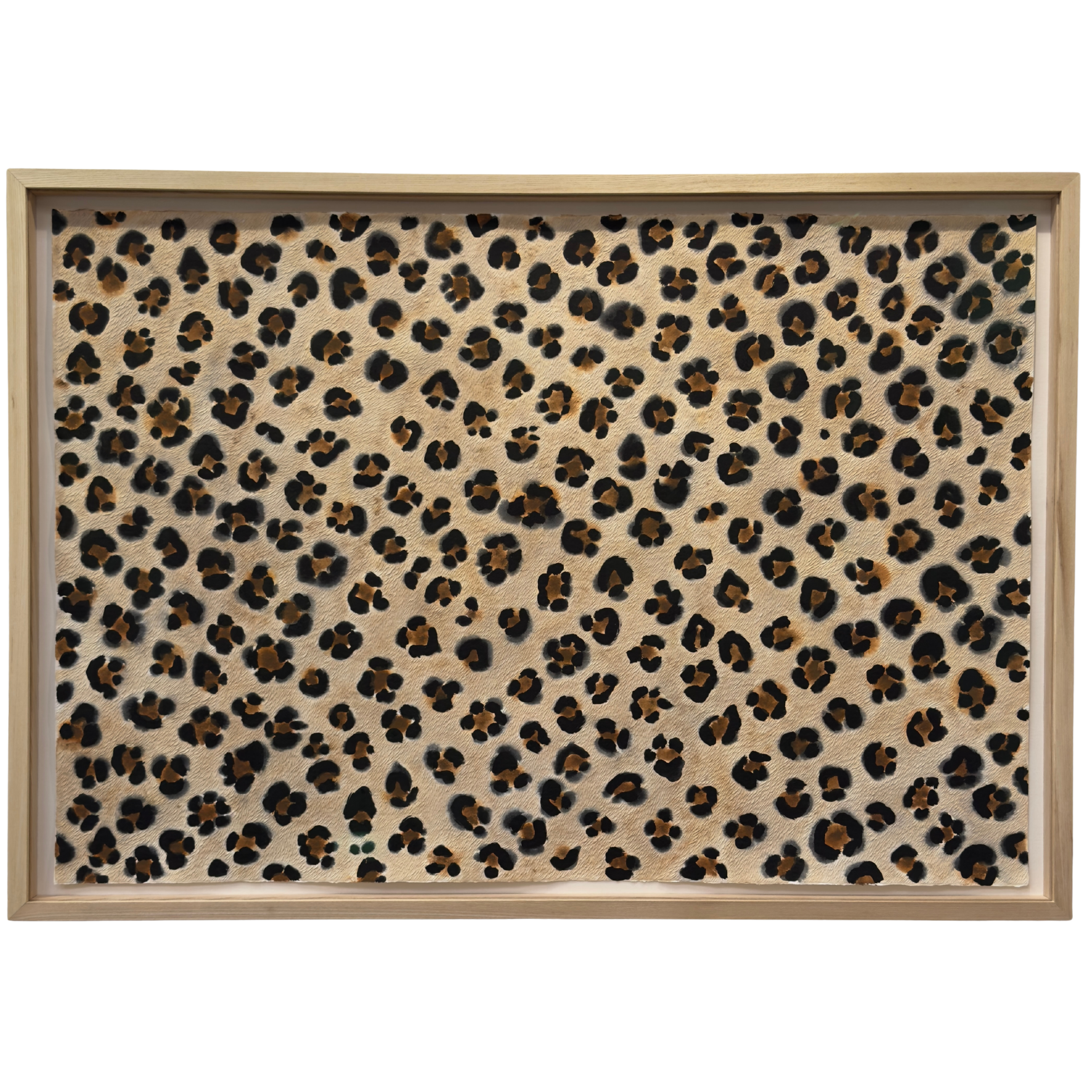 Big Cat Energy - Elusive Wonder, 2024