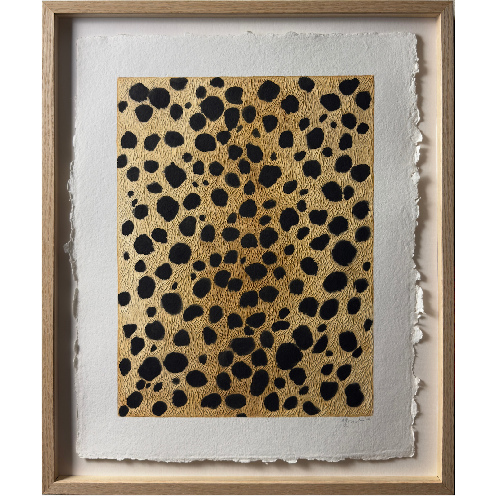 Big Cat Energy - Catch Me If You Can, 2024