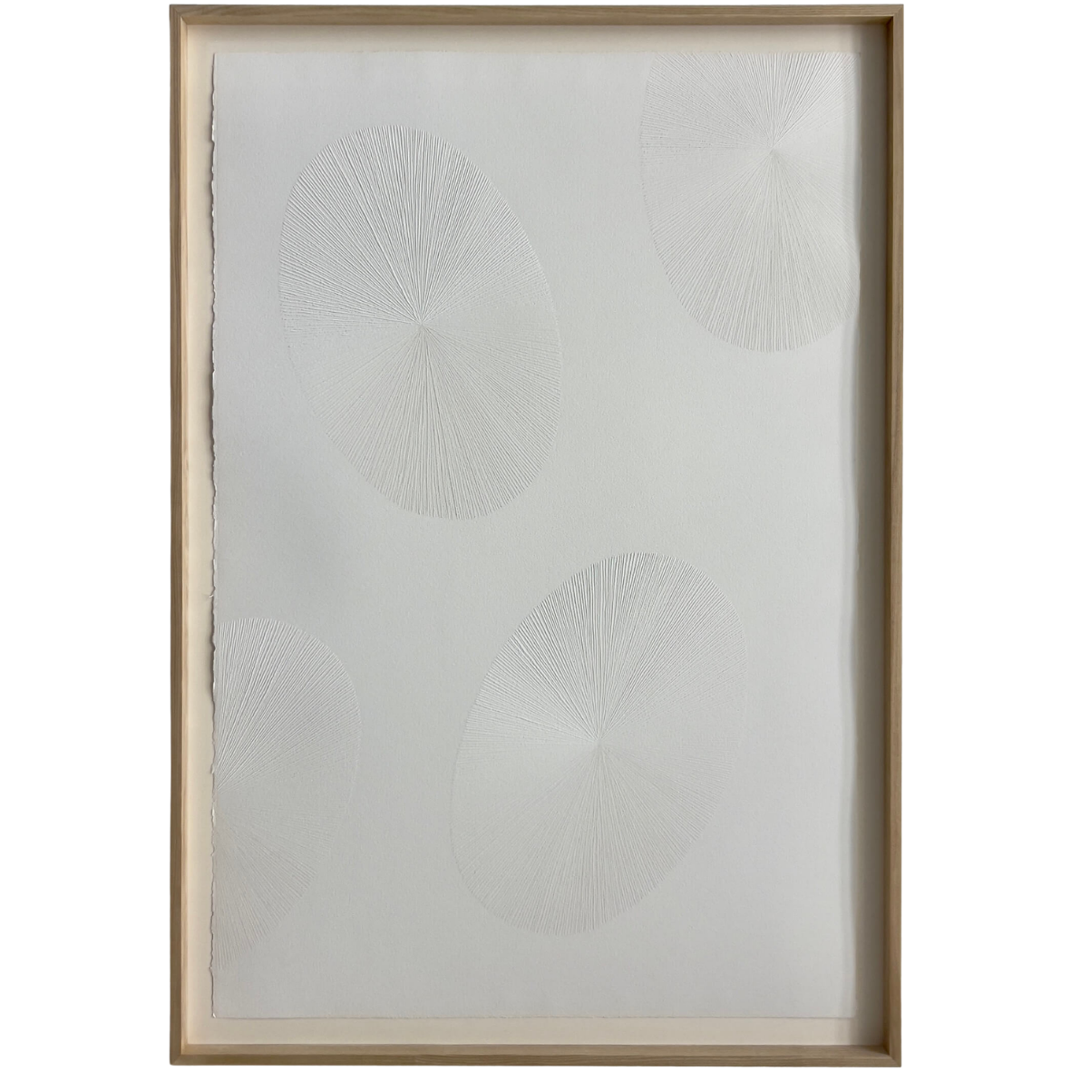 If You Come With Me I'll Take You Somewhere Magical, 2024