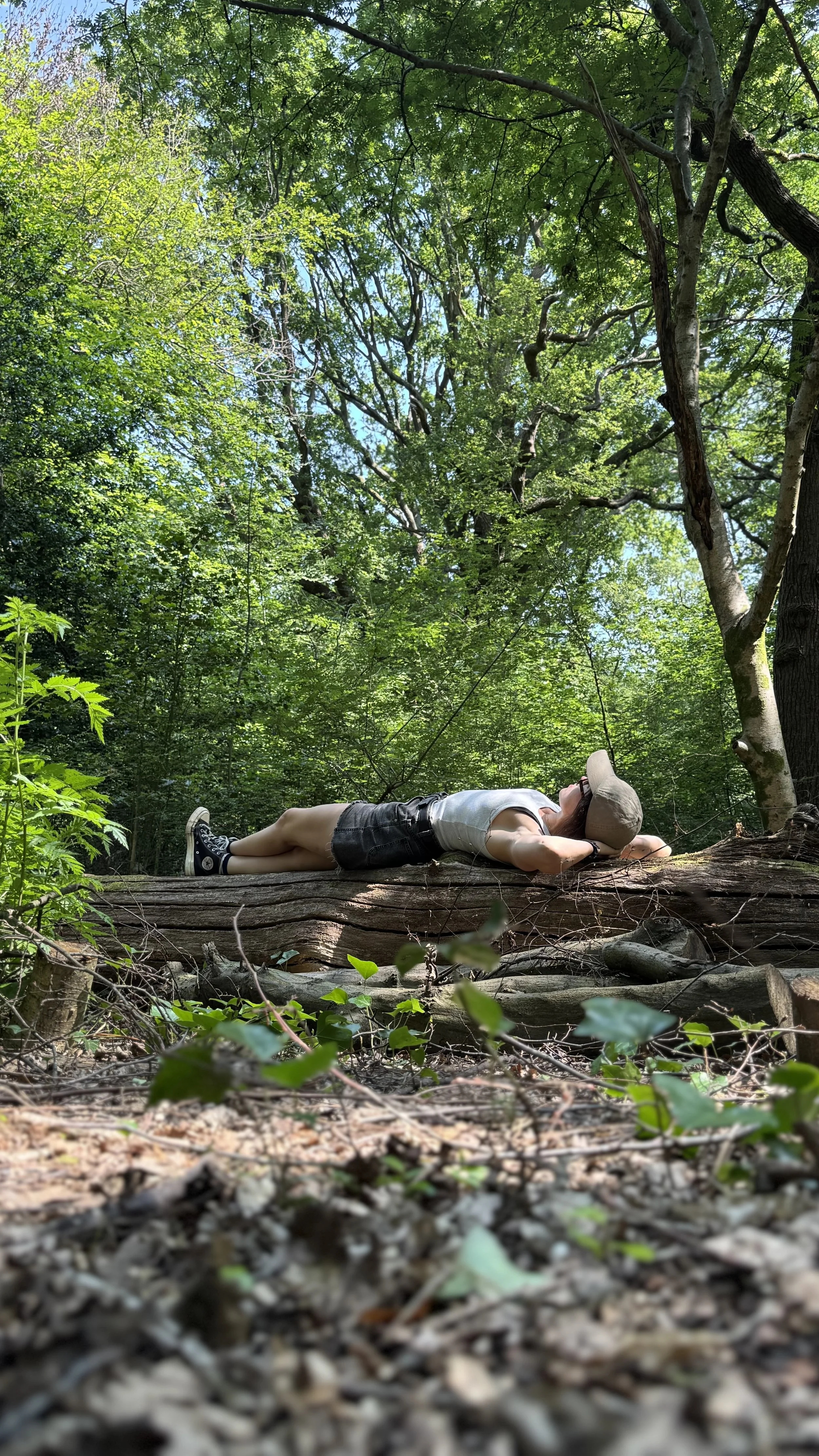 artist Mimi Zouch lying on a fallen tree in the woods and gazing up at the tree canopy