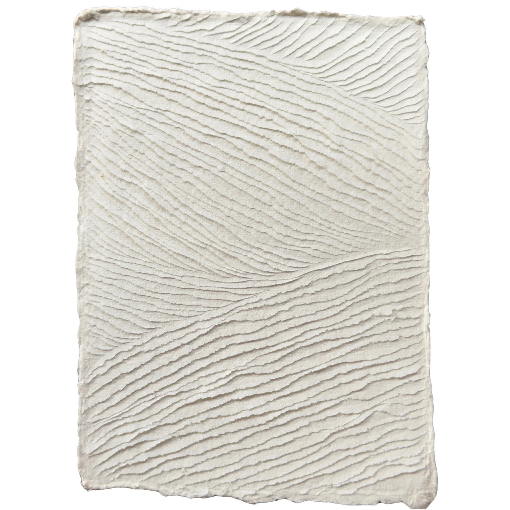 natural white cotton rag paper with surface carving creating a textured original artwork, inspired by nature