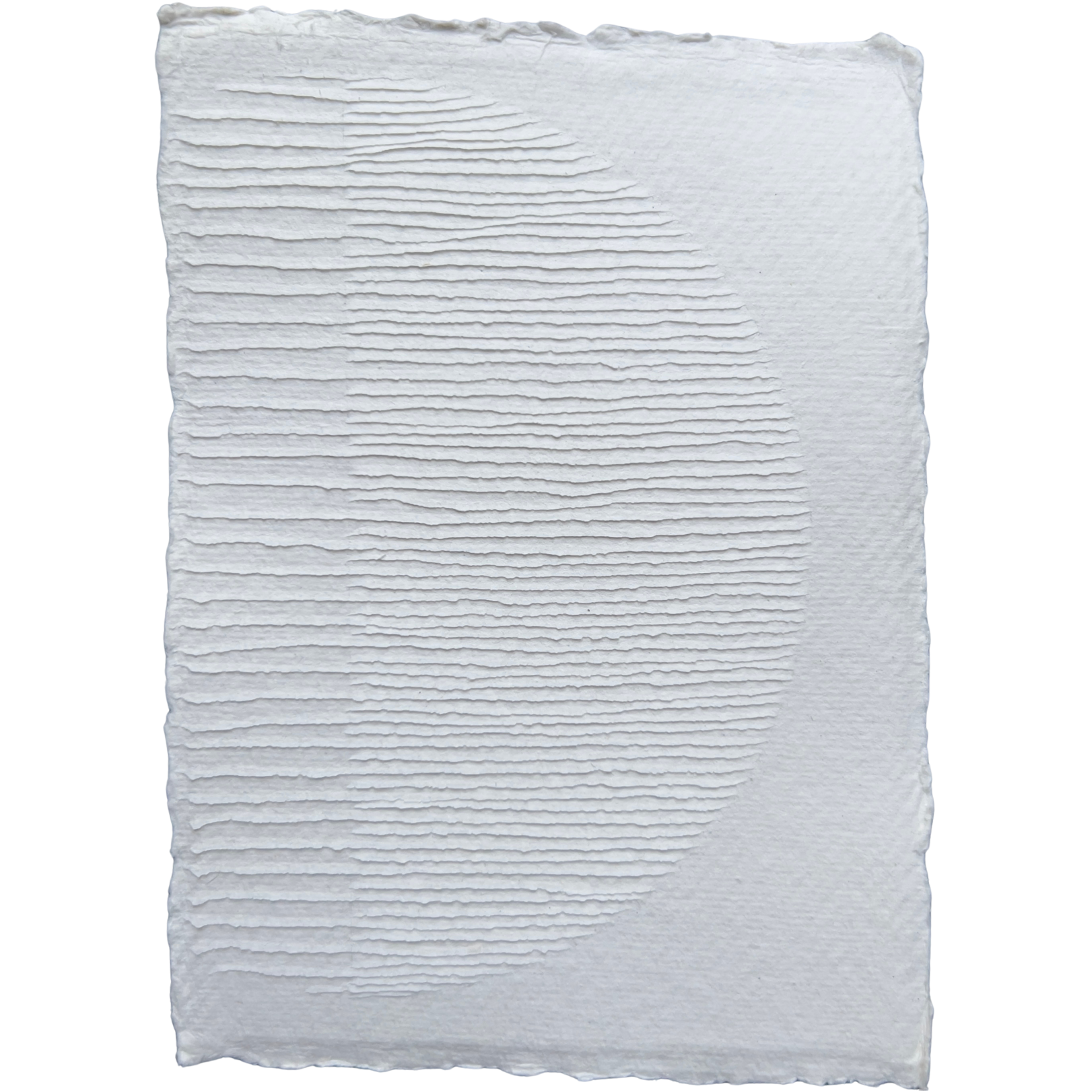 Hiding In Your Shadow, 2023