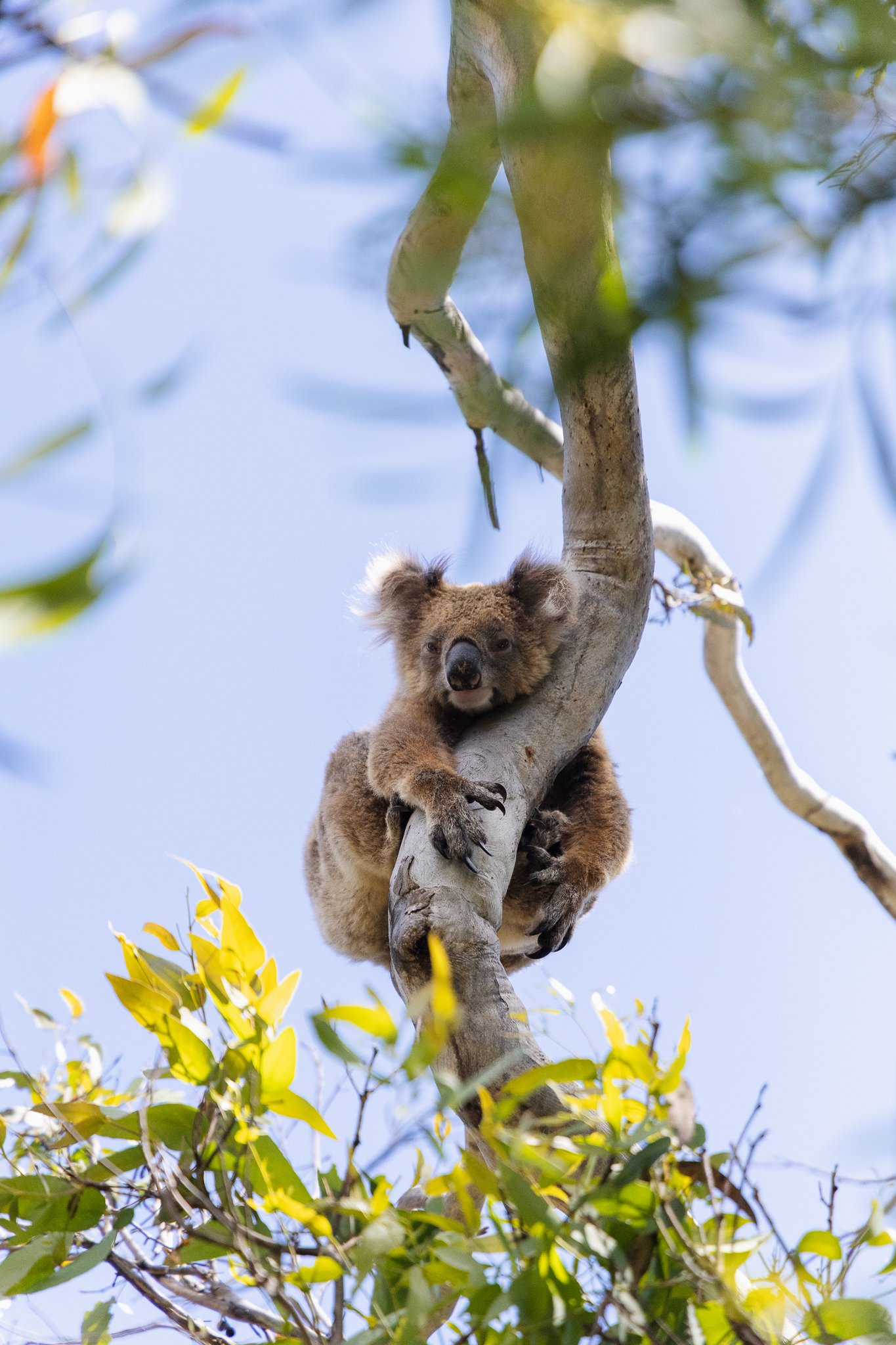 Adventure, Landscapes & Wildlife