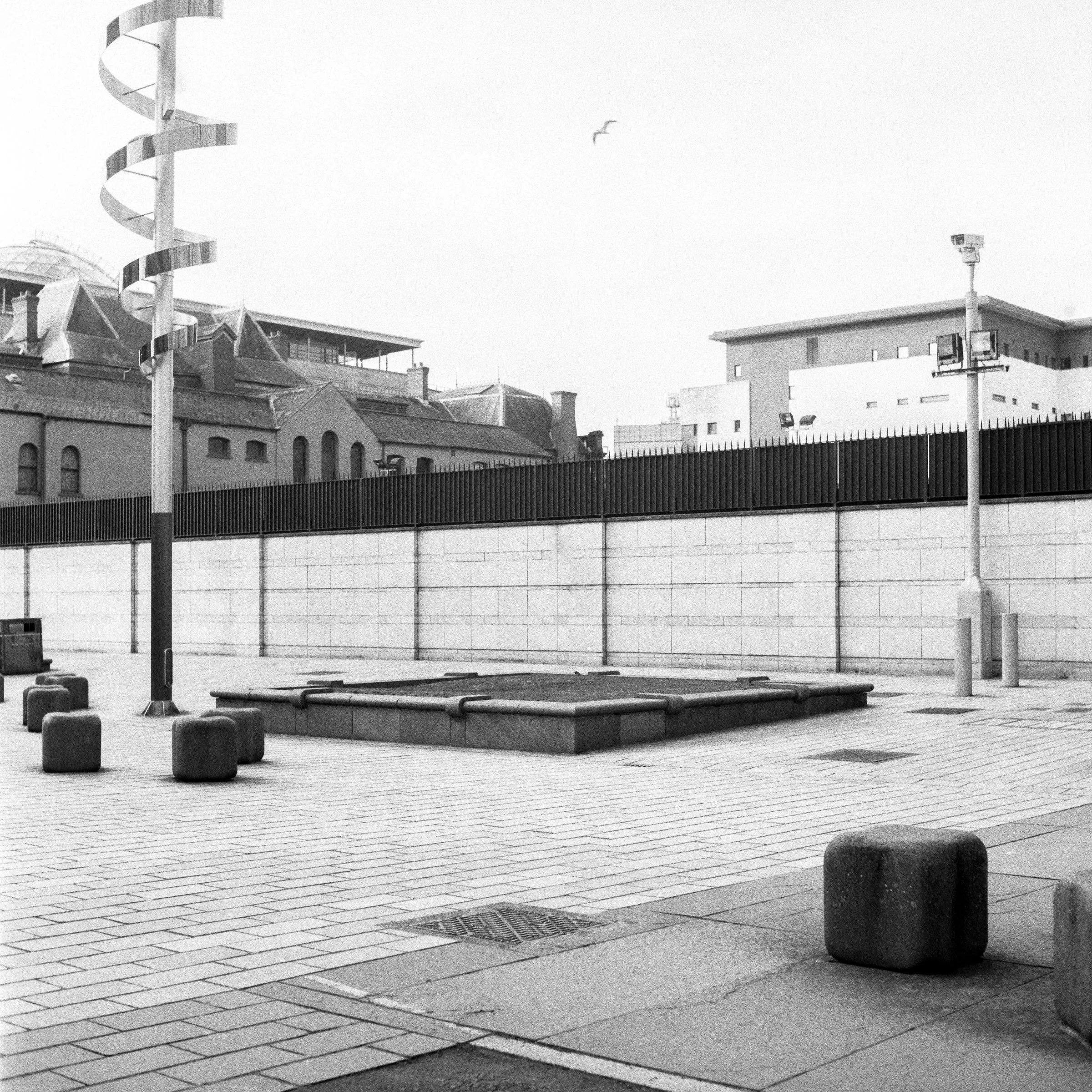 ROLL 008 2021-5.jpg