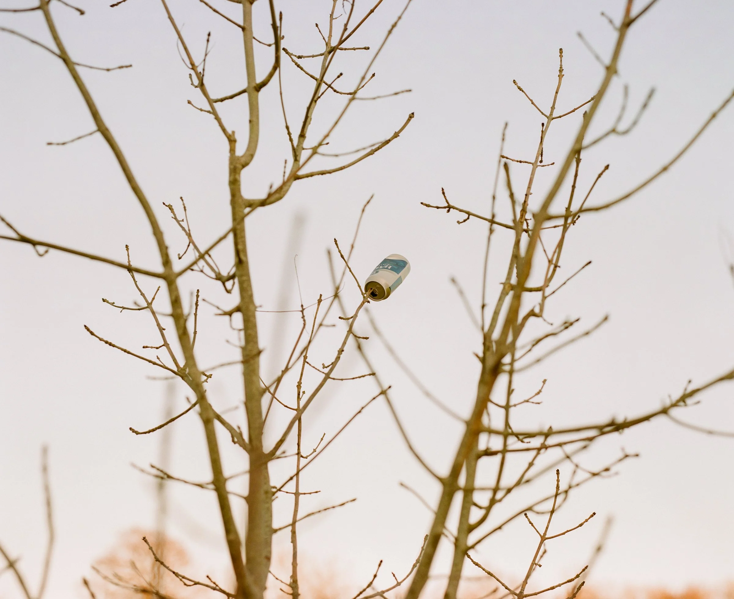 ROLL 014-3.jpg