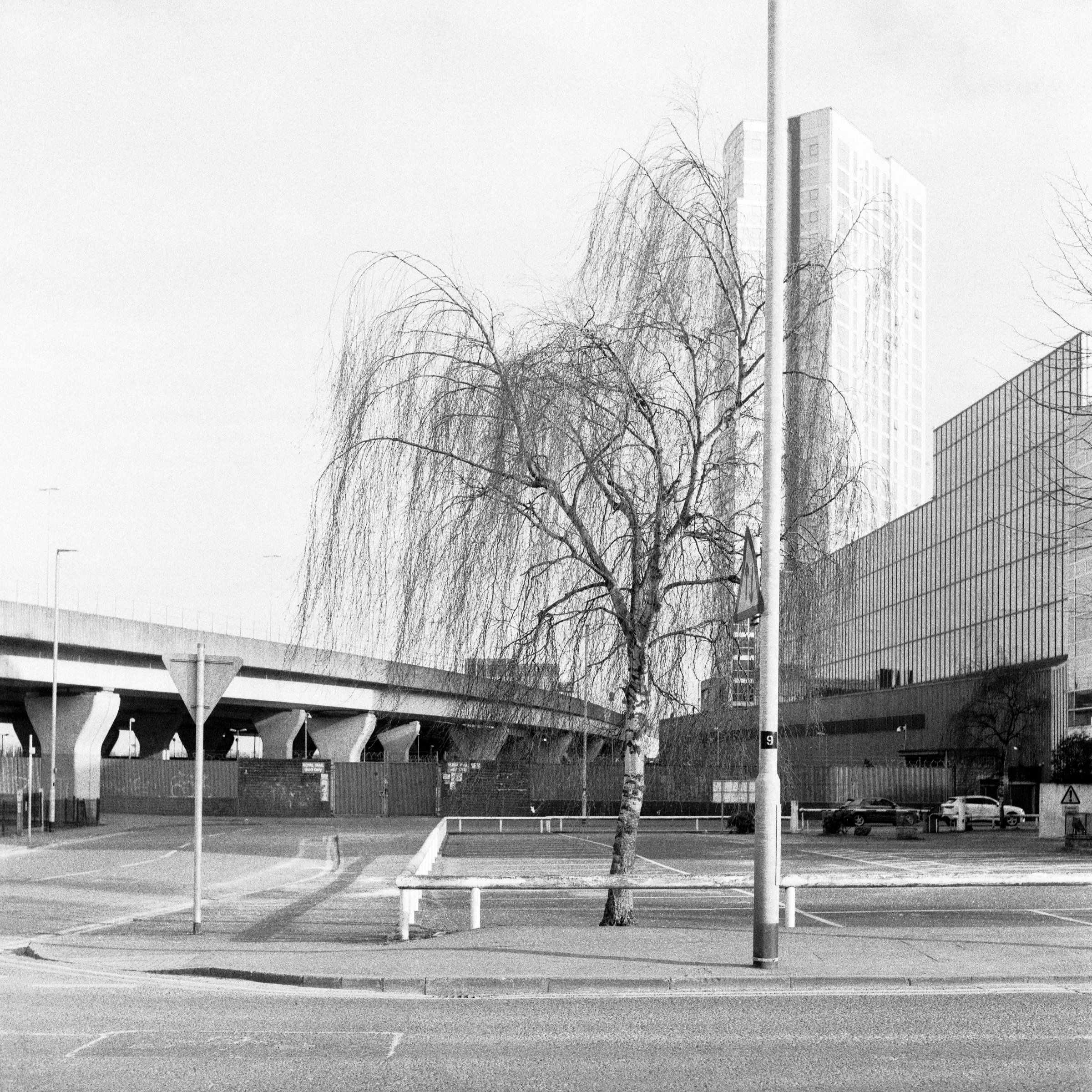 ROLL 008 2021-2.jpg