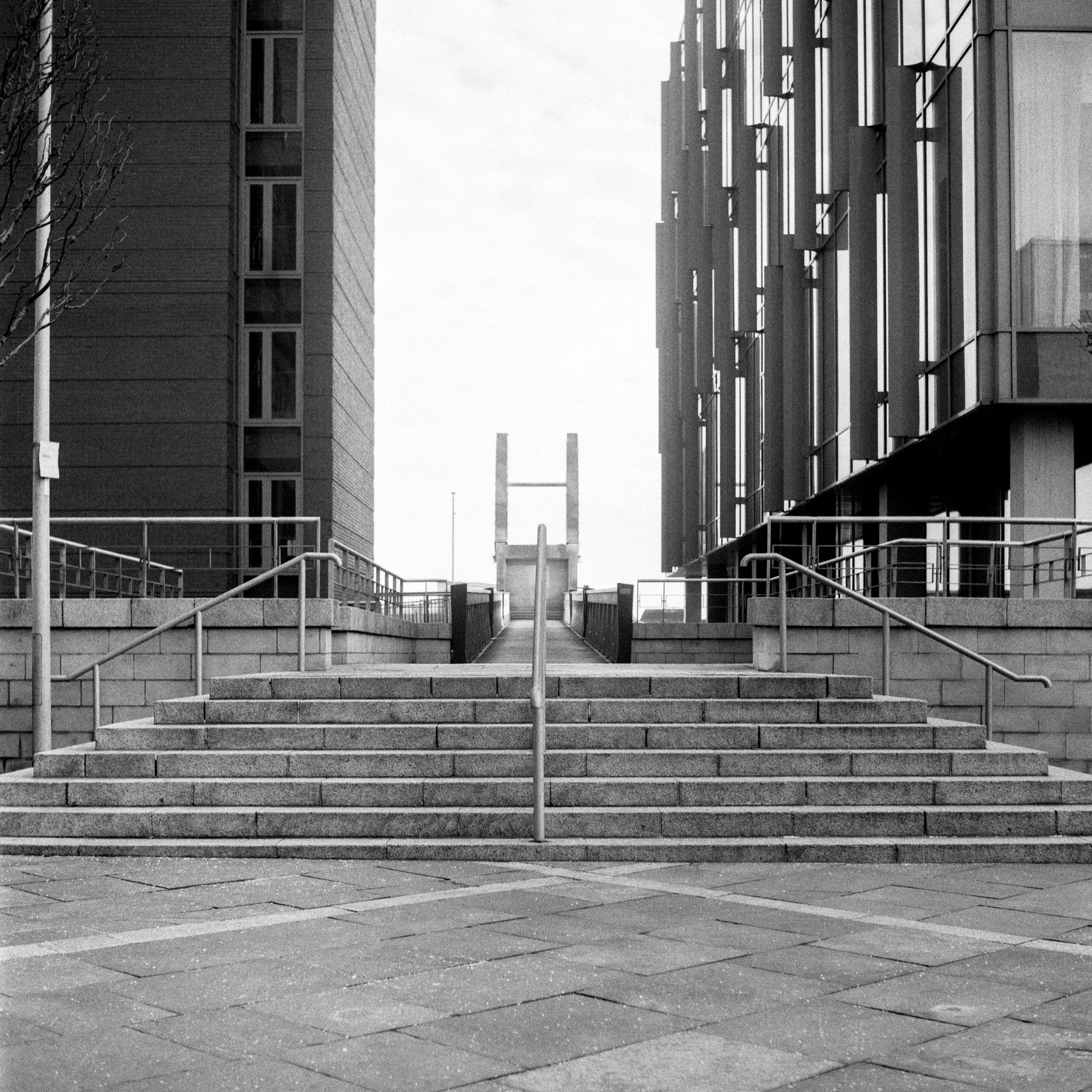 ROLL 008 2021-4.jpg