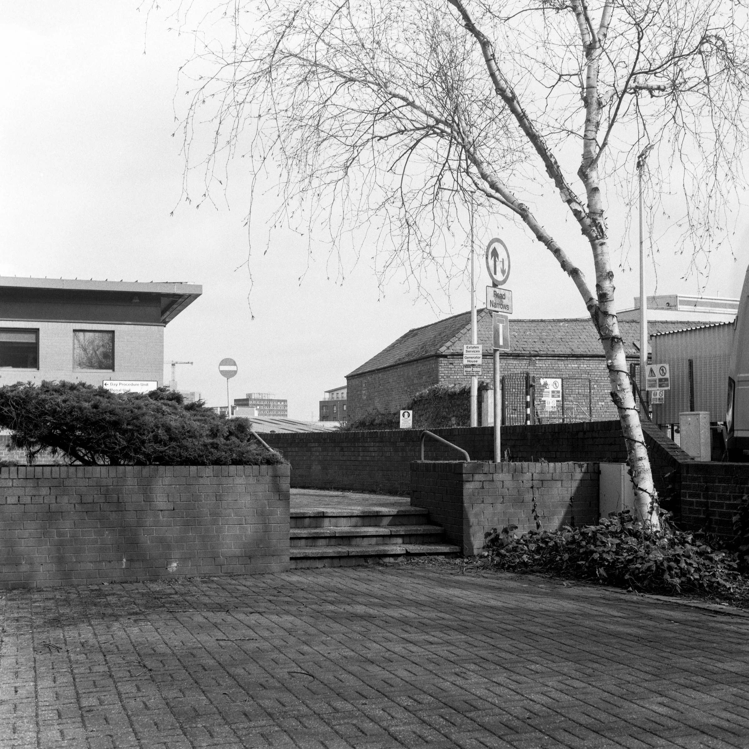 ROLL 010-5.jpg
