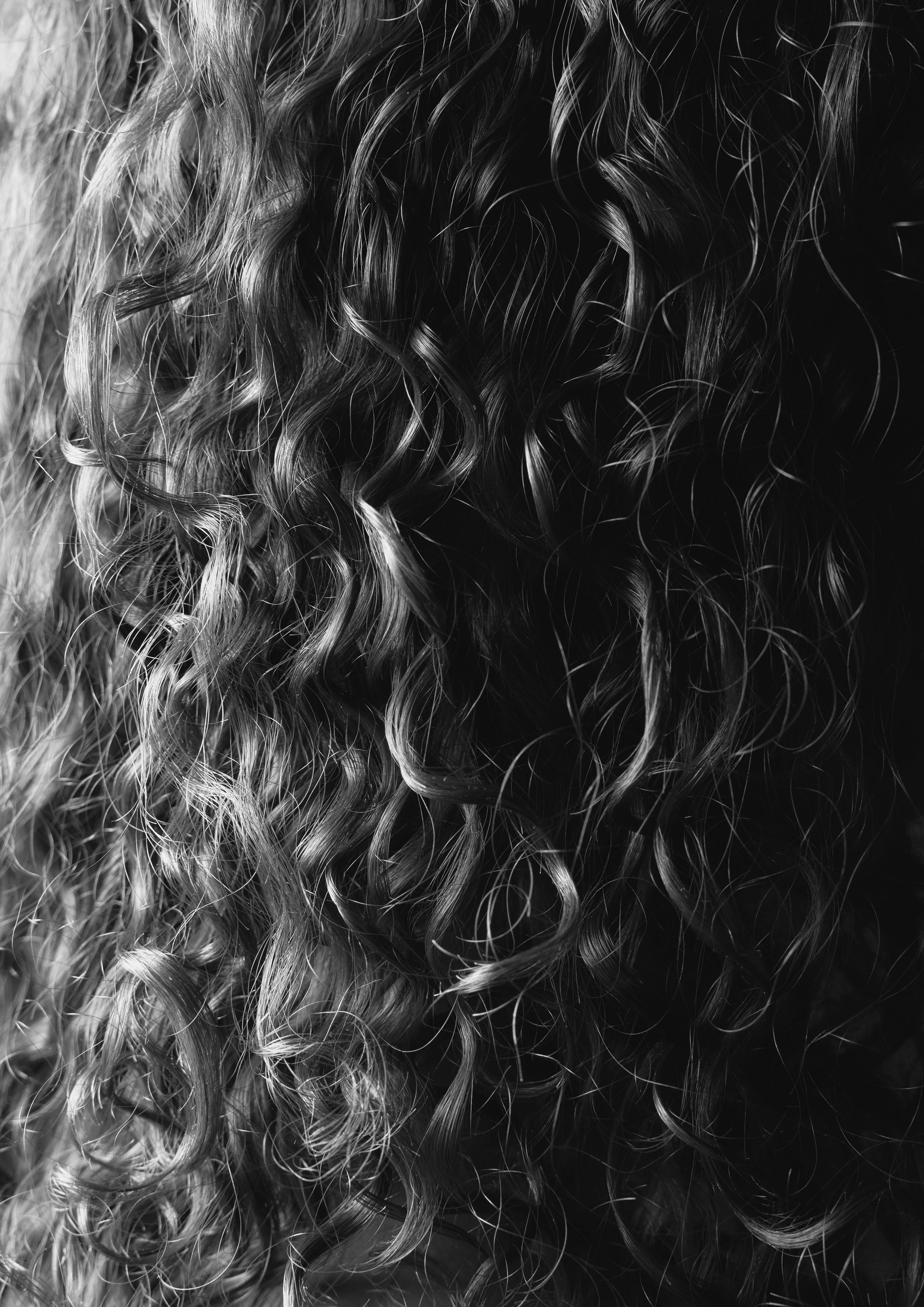 Portrait_2_Druck.jpg