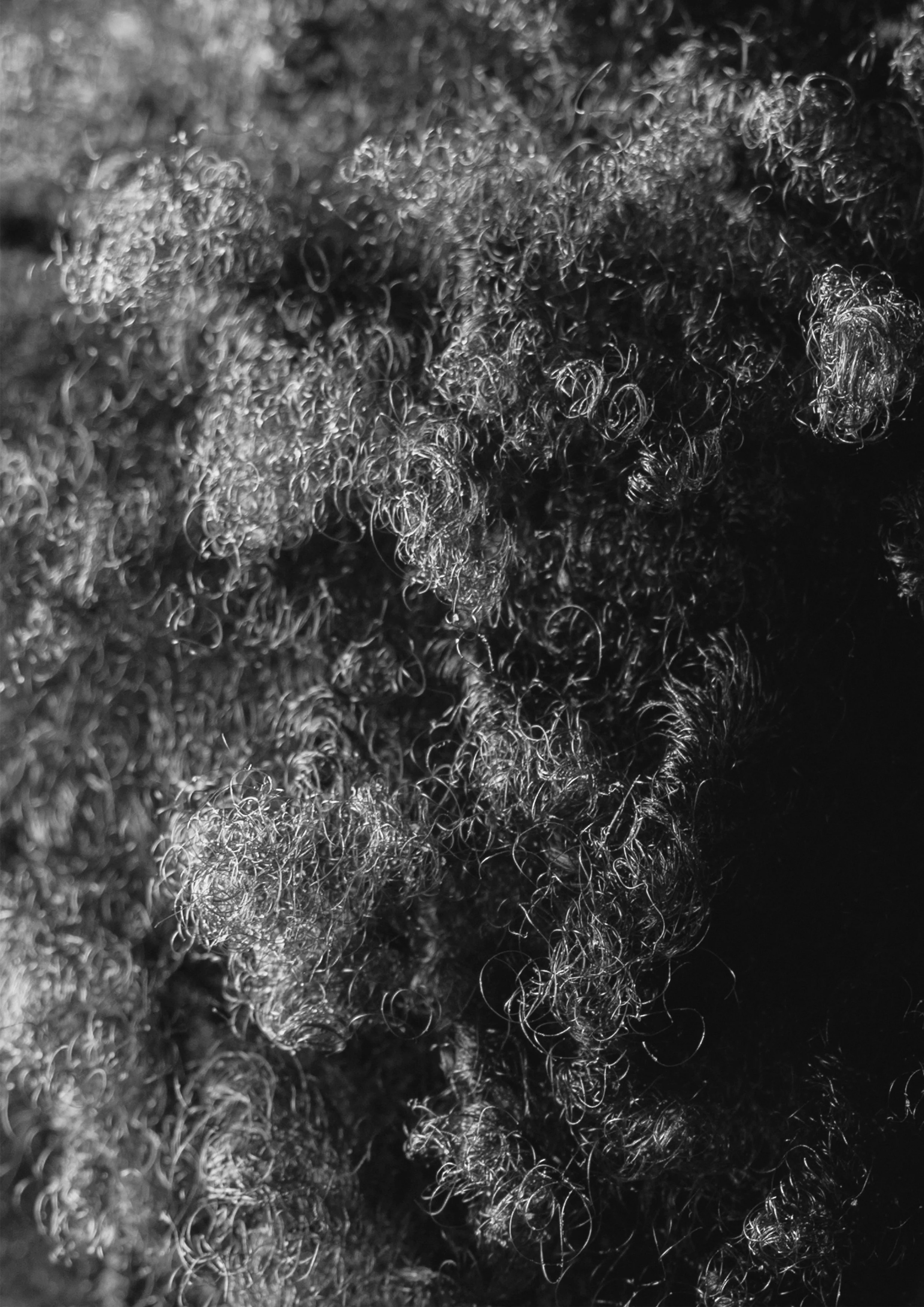 Portrait_5_Druck.jpg