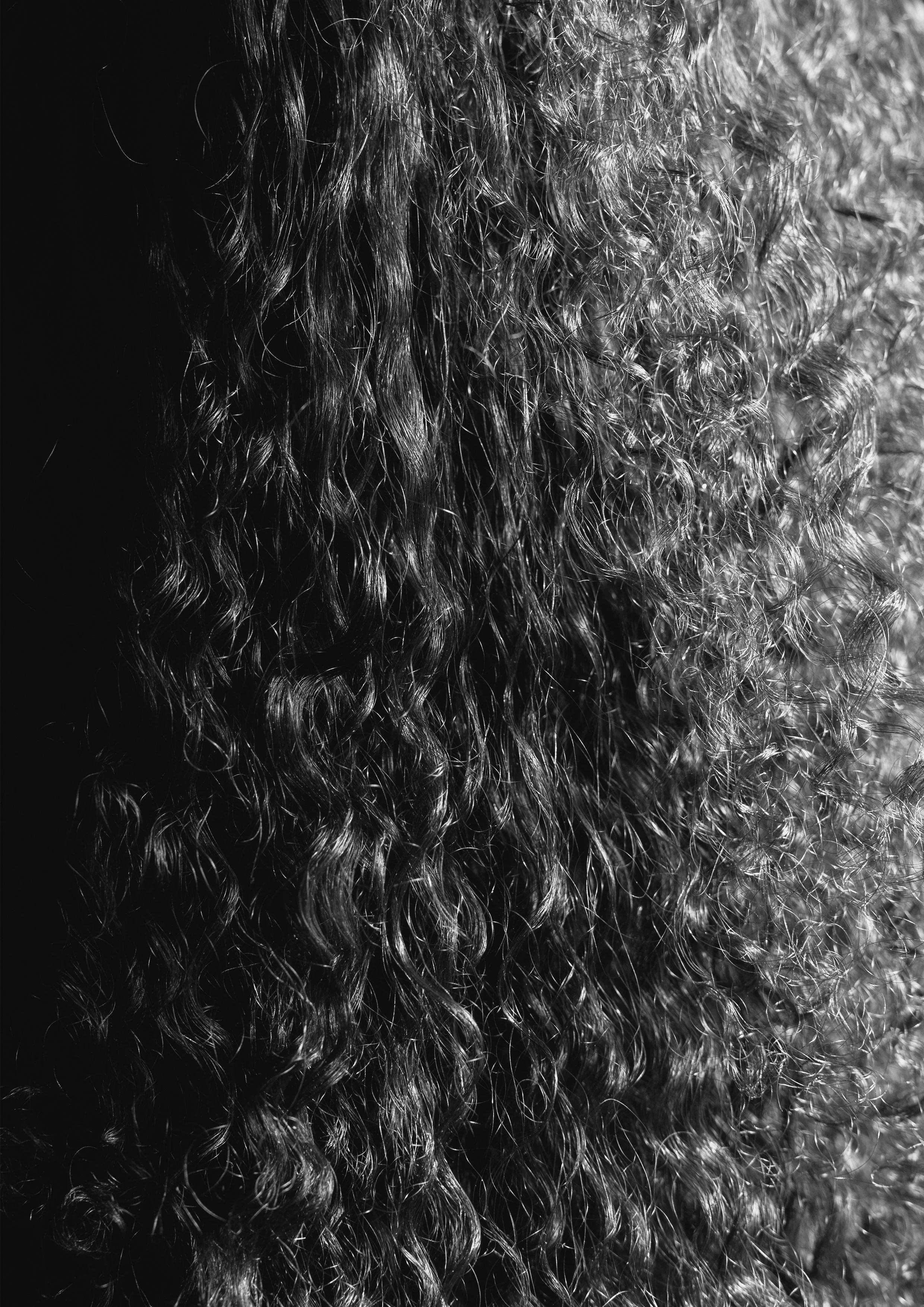 Portrait_3_Druck.jpg