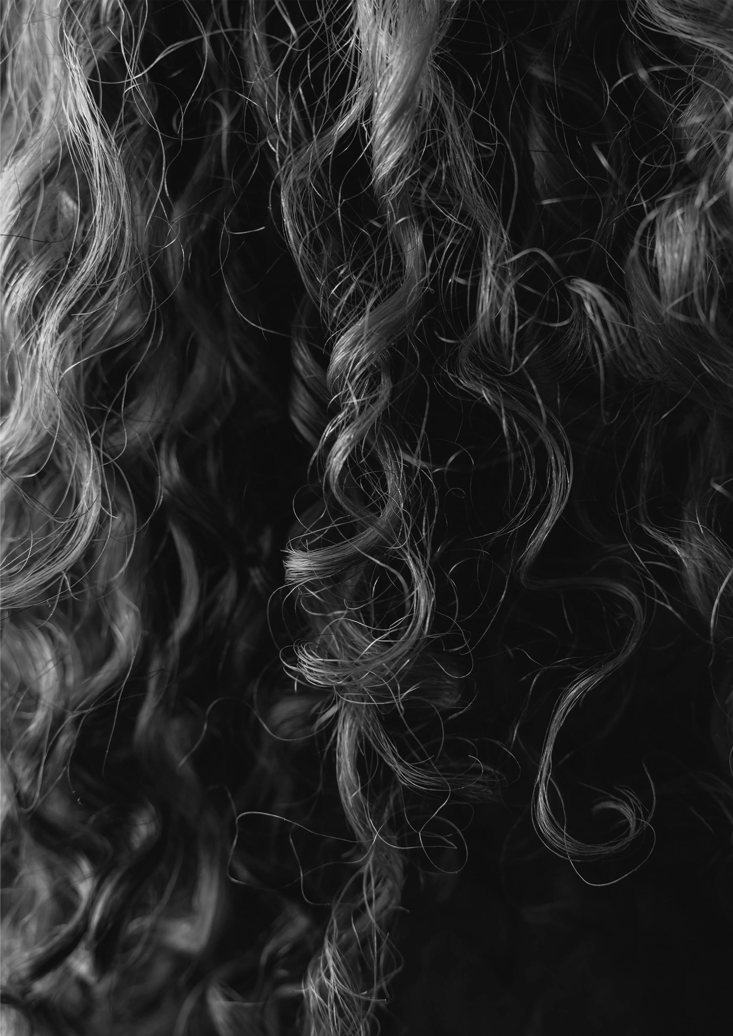 Portrait_1_Druck.jpg