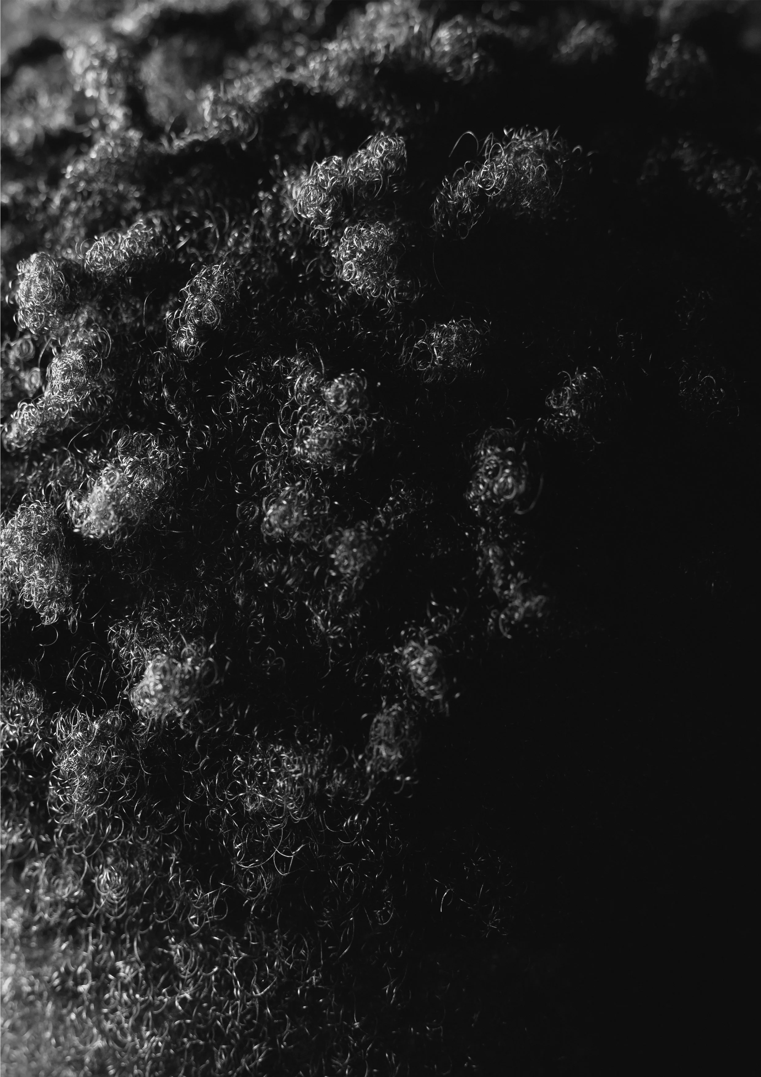 Portrait_6_Druck.jpg
