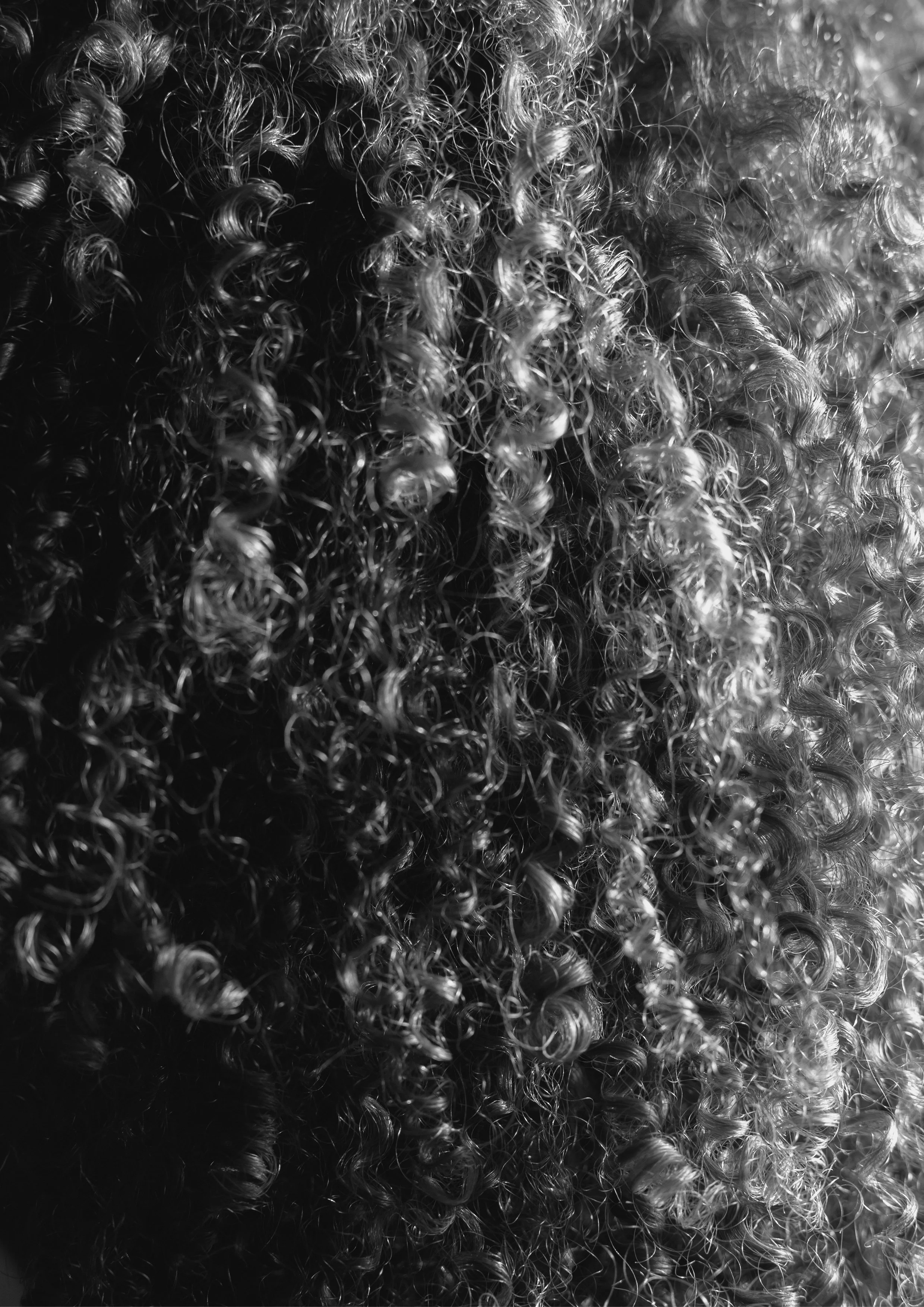 Portrait_4_Druck.jpg