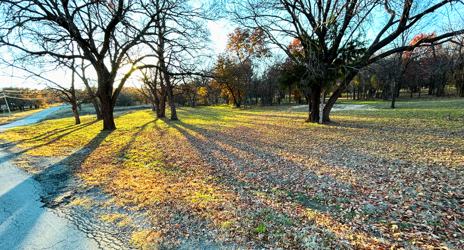 IMG_5654 - Edited.png