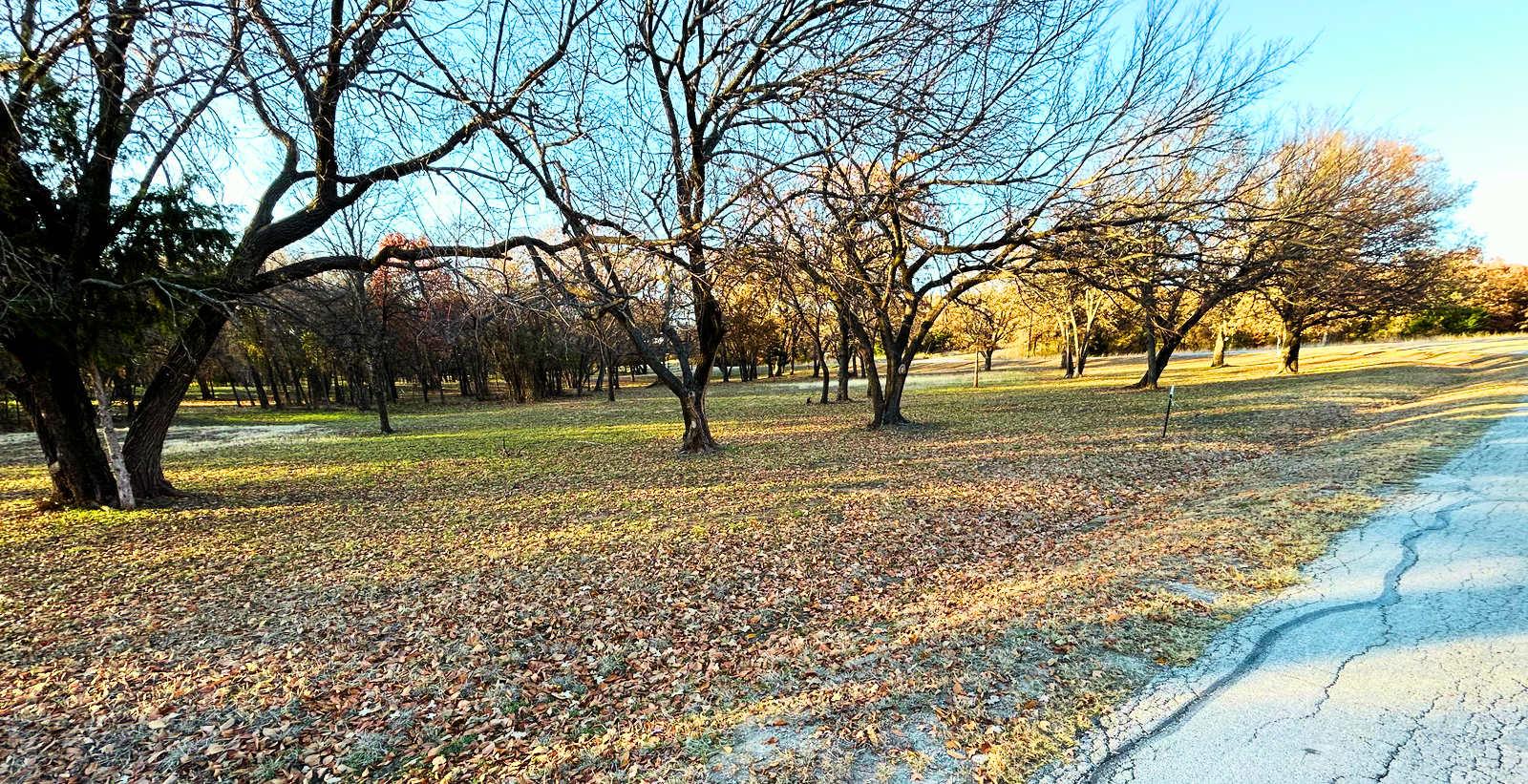 IMG_5656 - Edited.png