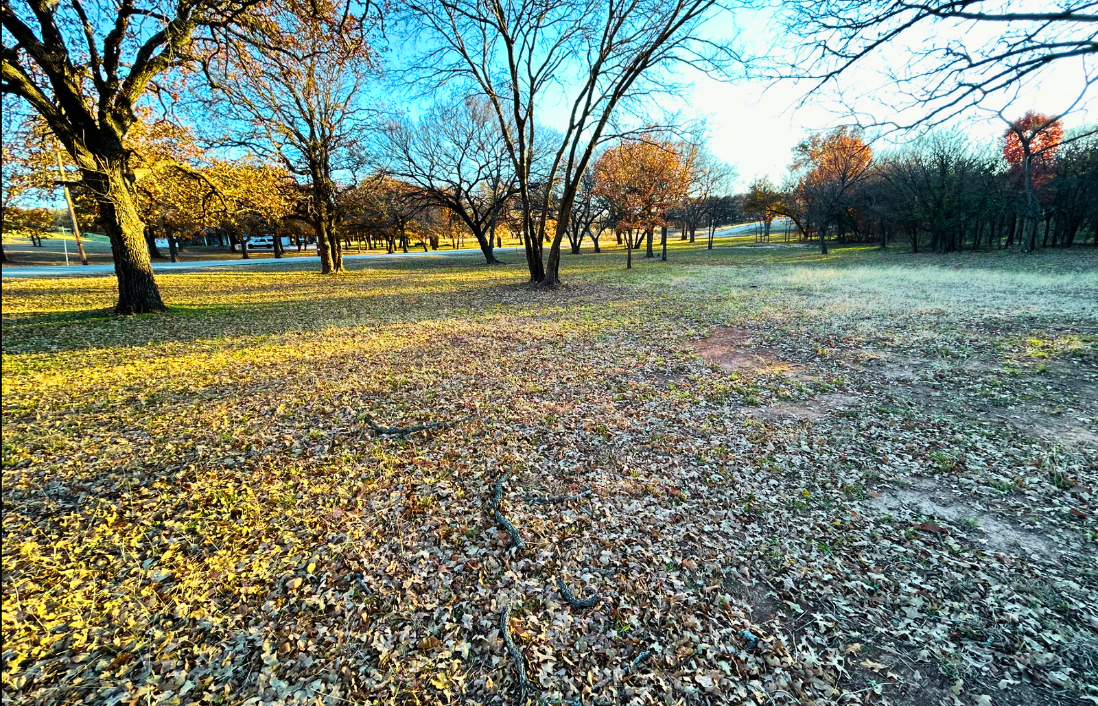 IMG_5663 - Edited.png