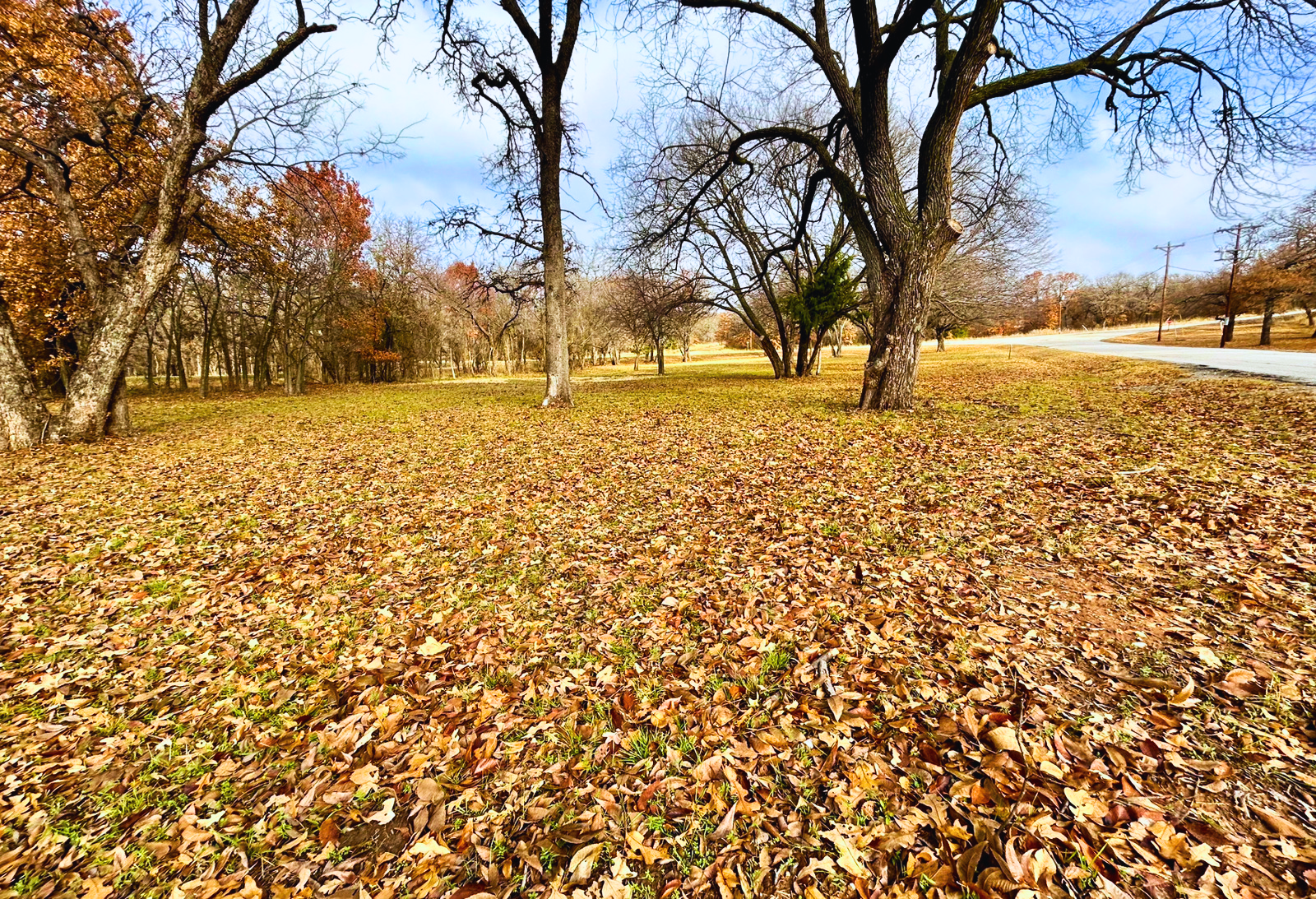 IMG_5482 2 - Edited (1).png