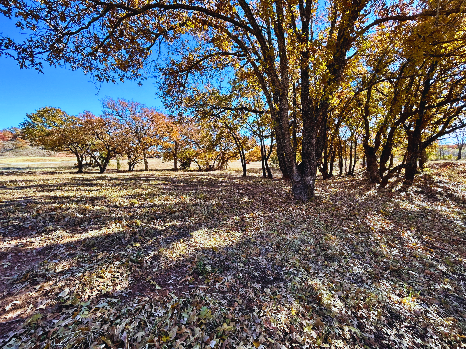 IMG_3812 - Edited.png