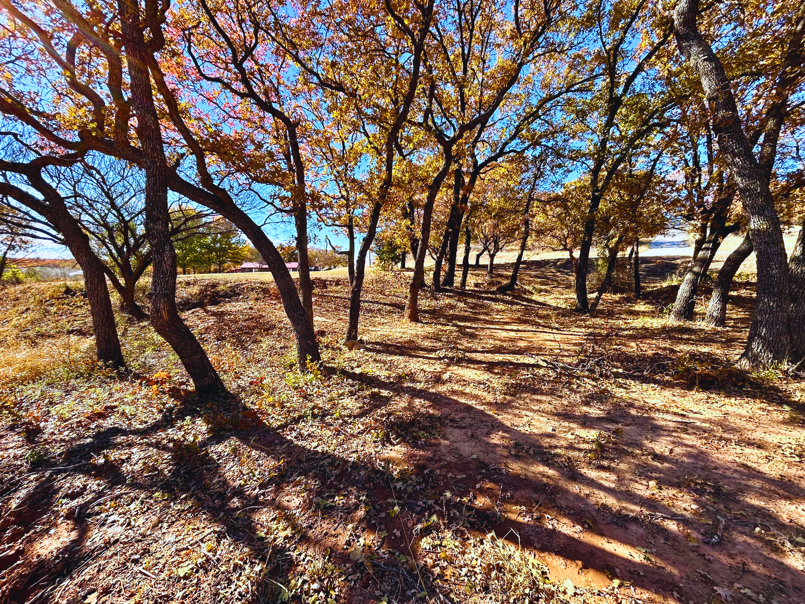 IMG_3838 - Edited.png