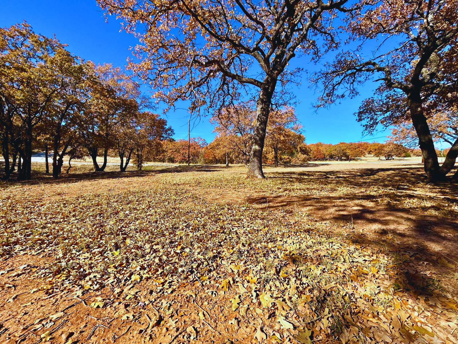 IMG_3855 - Edited.png