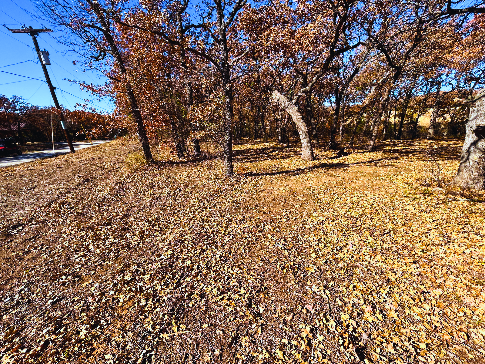 IMG_4287 - Edited.png