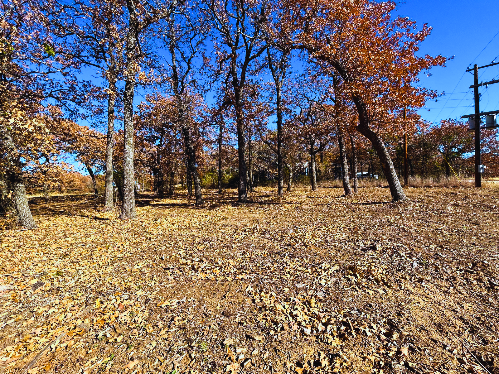 IMG_4289 - Edited.png