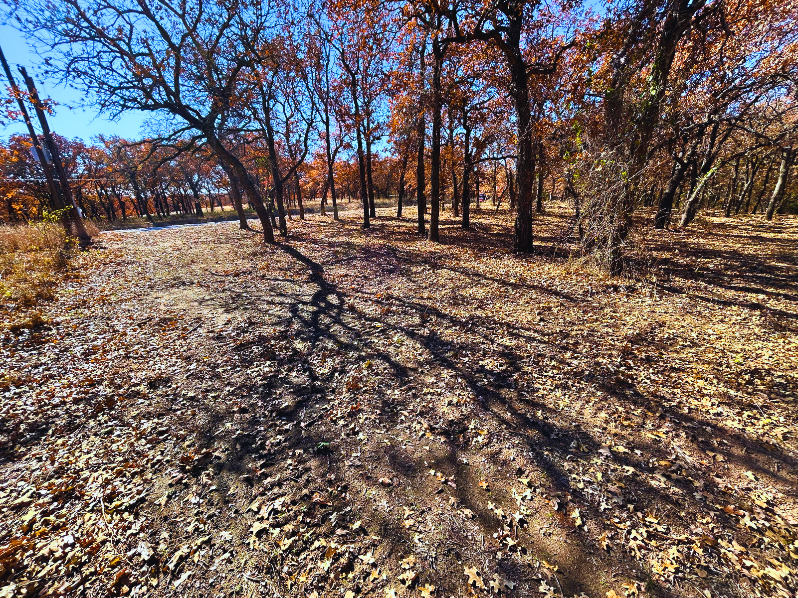 IMG_4300 - Edited.png