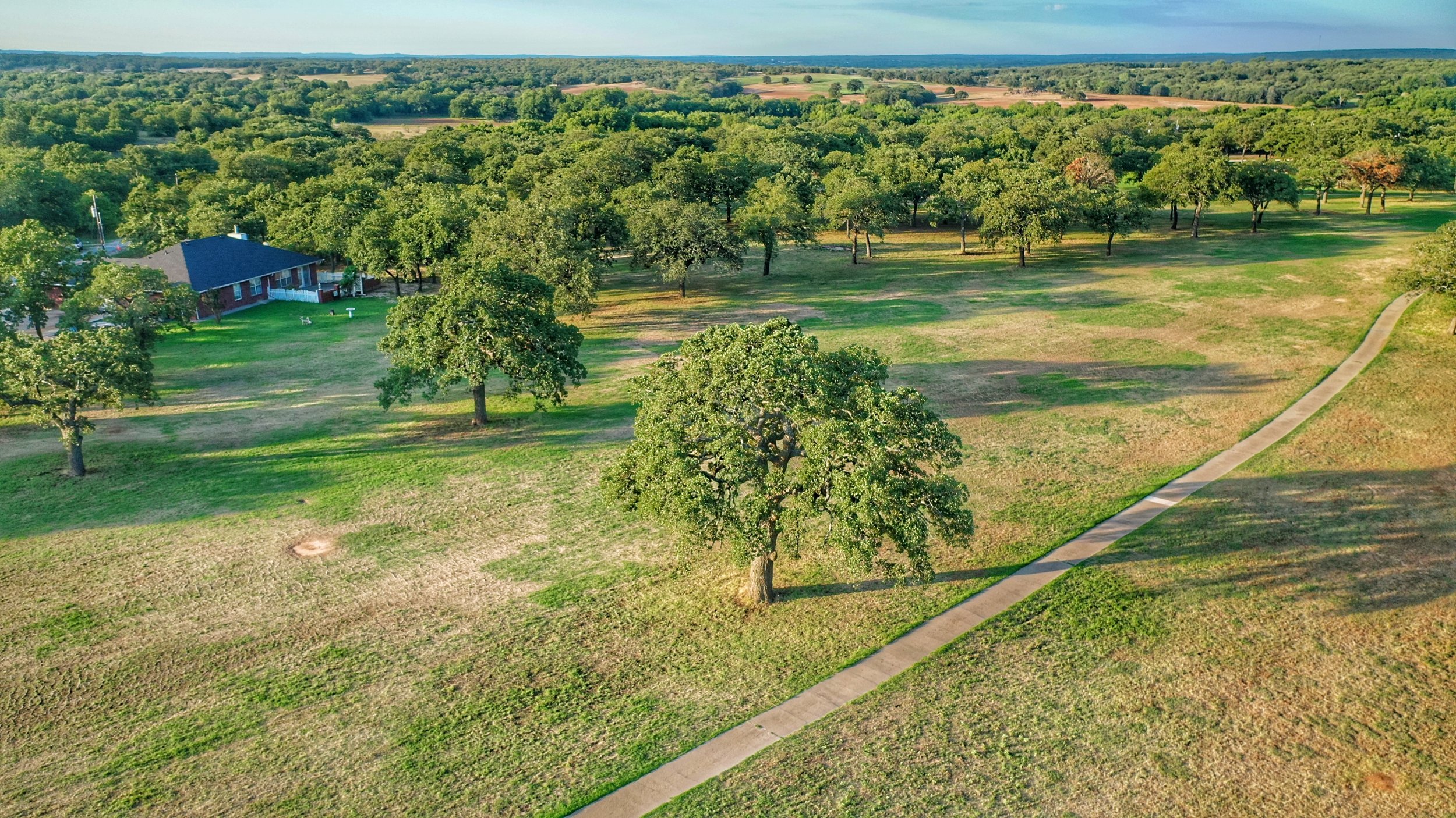 DJI_0667-01.jpeg