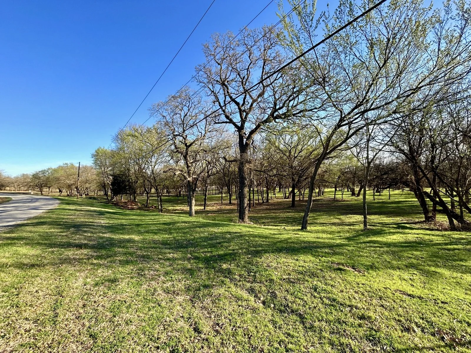 5 Sonora Ct. — Nocona Hills Land & Development