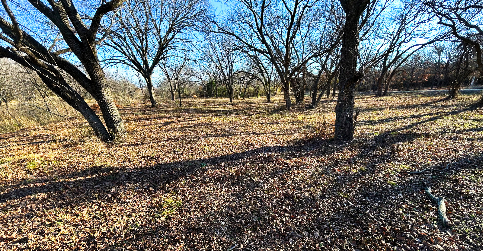 122 Comanche Tr — Nocona Hills Land & Development