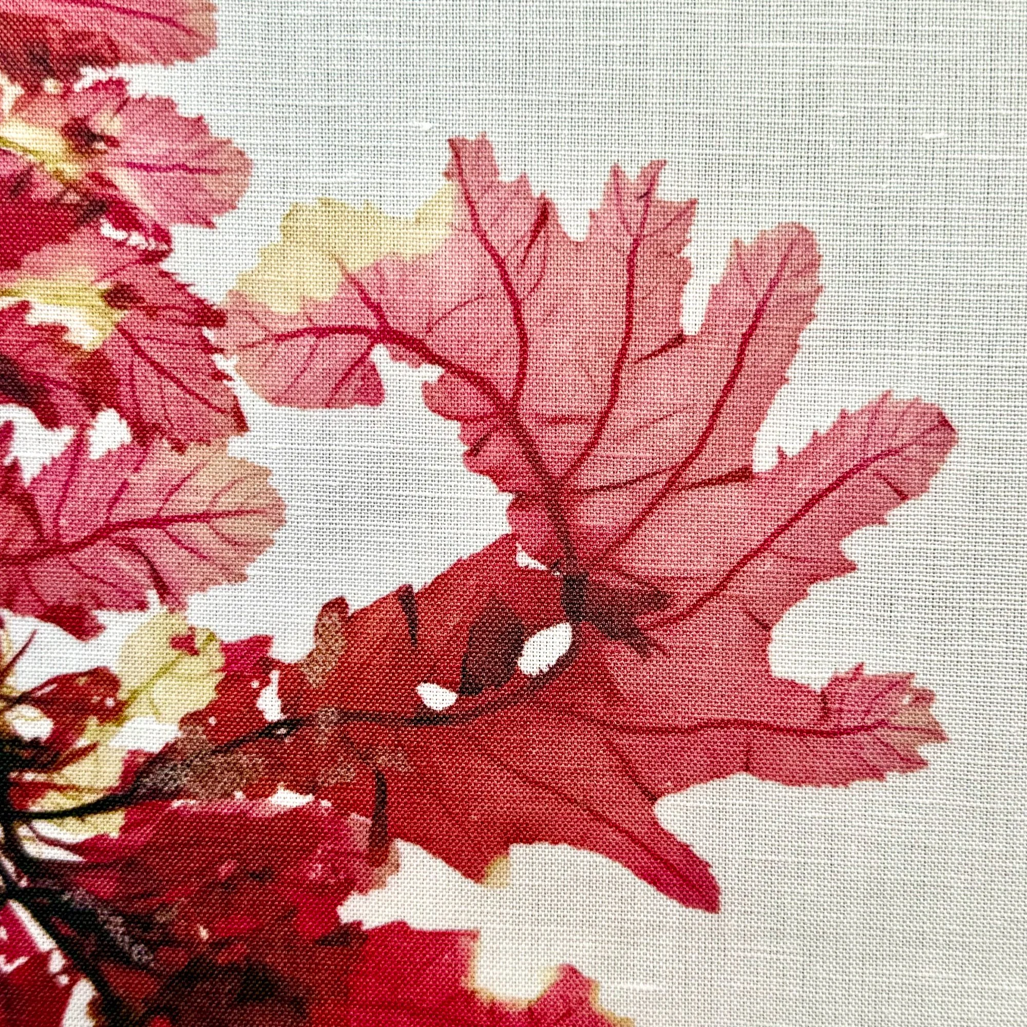 Sea oak detail